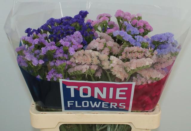 Статица Микс 60, шт.