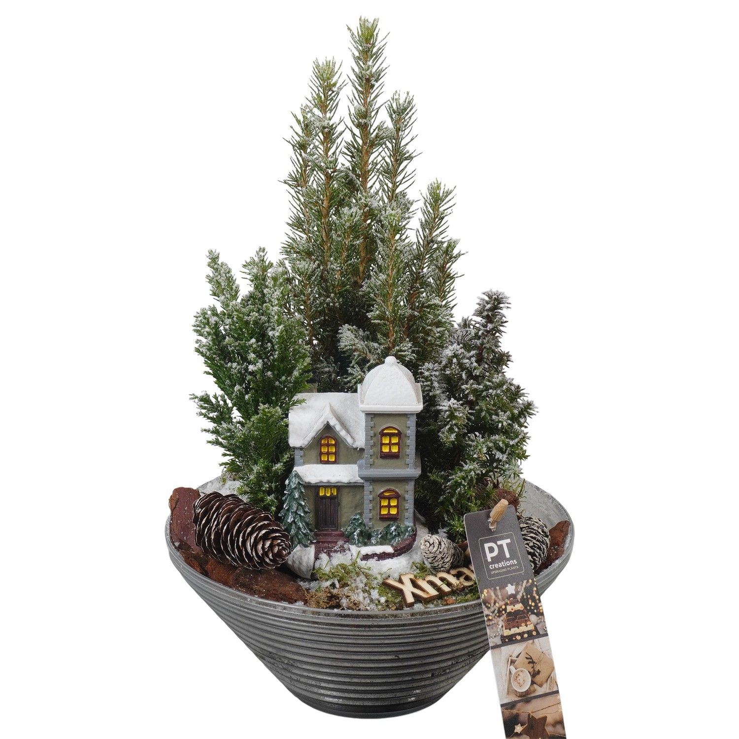 PTCWW6810 Arrangement Winter in glas schaal, D 19 cm