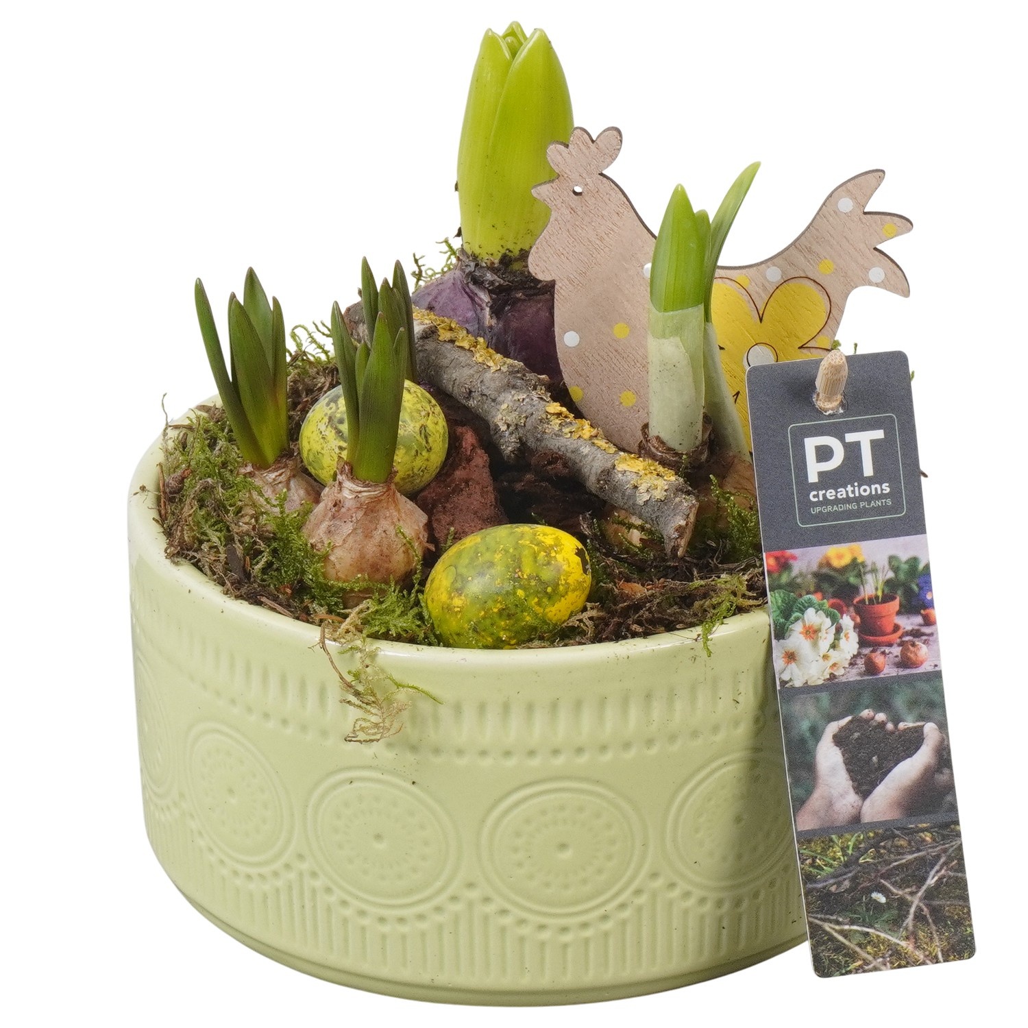 PTBMP5738 Arrangement Easter Bulbs Mix in keramiek schaal, D 15