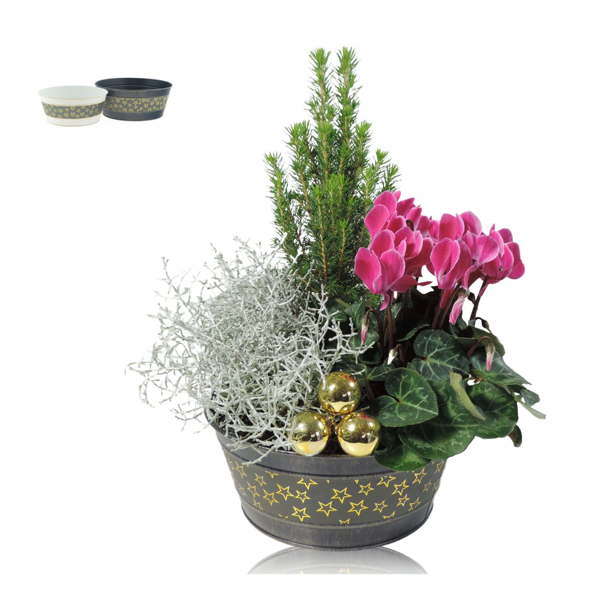 Collectie Winter Arrangement in Zinken Schaal 21 cm Kerst, D 21