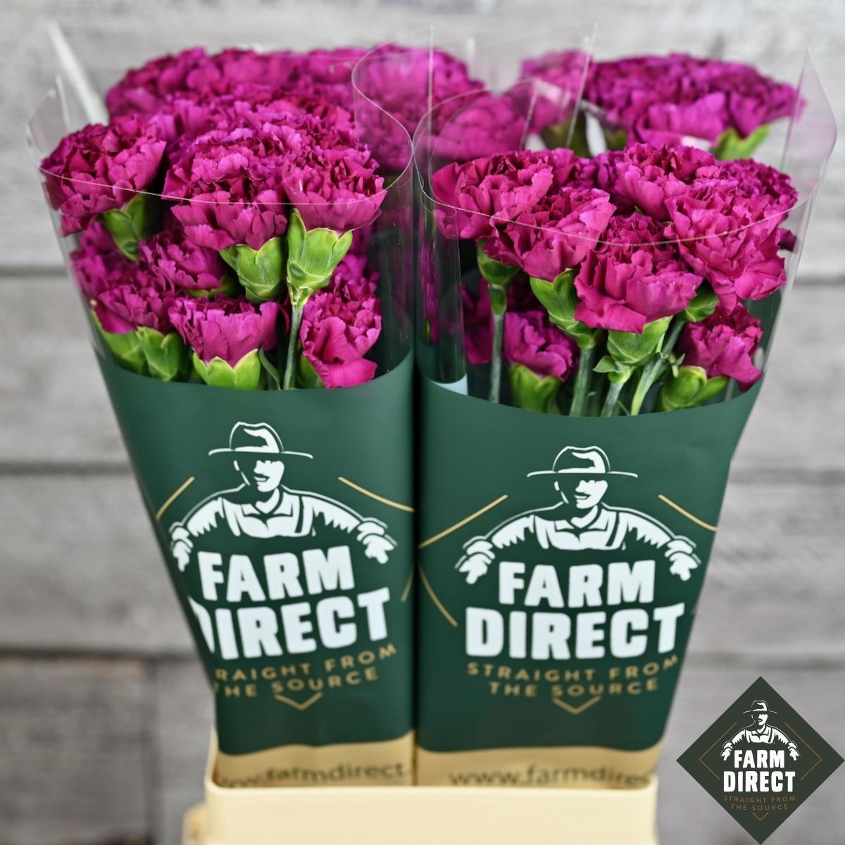 Диантус од. Хеппи Гема, шт.