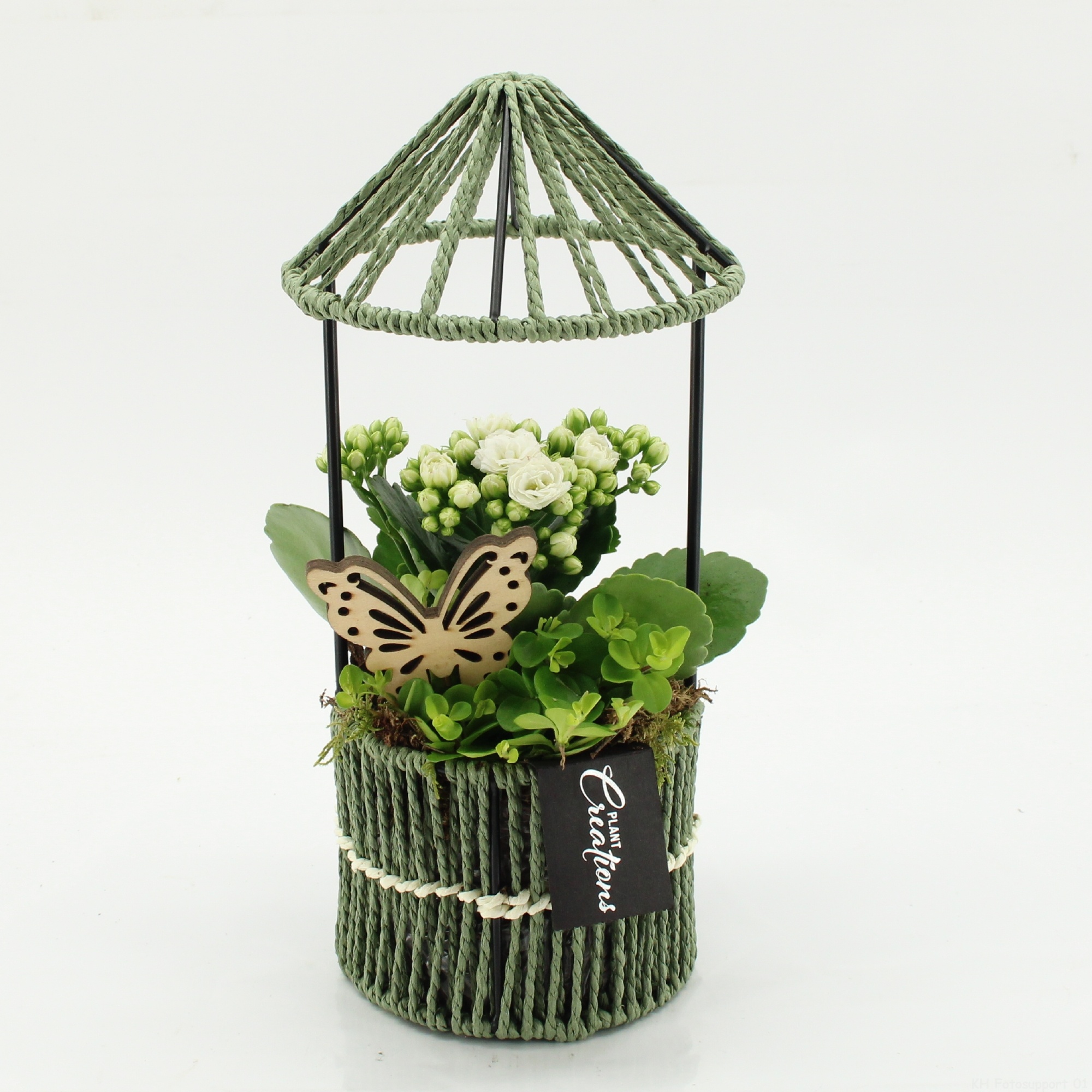 ESCR-2616W Essentials, D 12