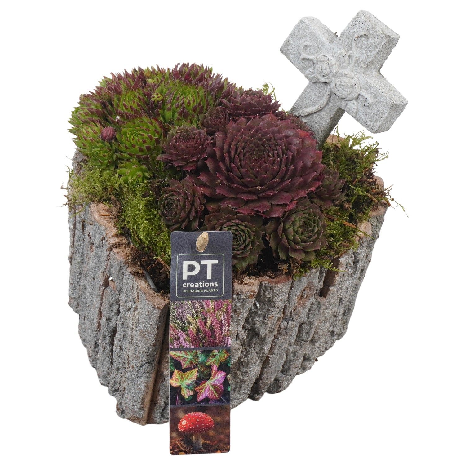 PTAH8659 Arrangement Allerheiligen in houten hart, D 16 cm PTAH8659 Arrangement Allerheiligen in houten hart, D 16 cm