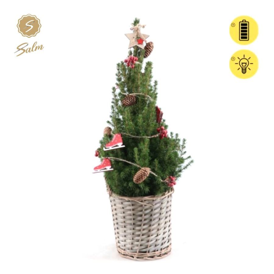 Picea gl. 'December'® P19 in Basket + Winterlight-Skate + Star on Loop, D 21 cm