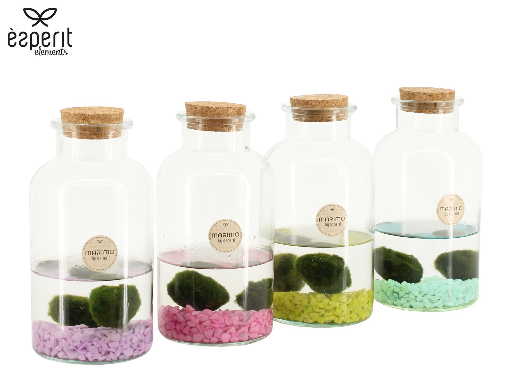 90943: Marimo arrangement, D 10