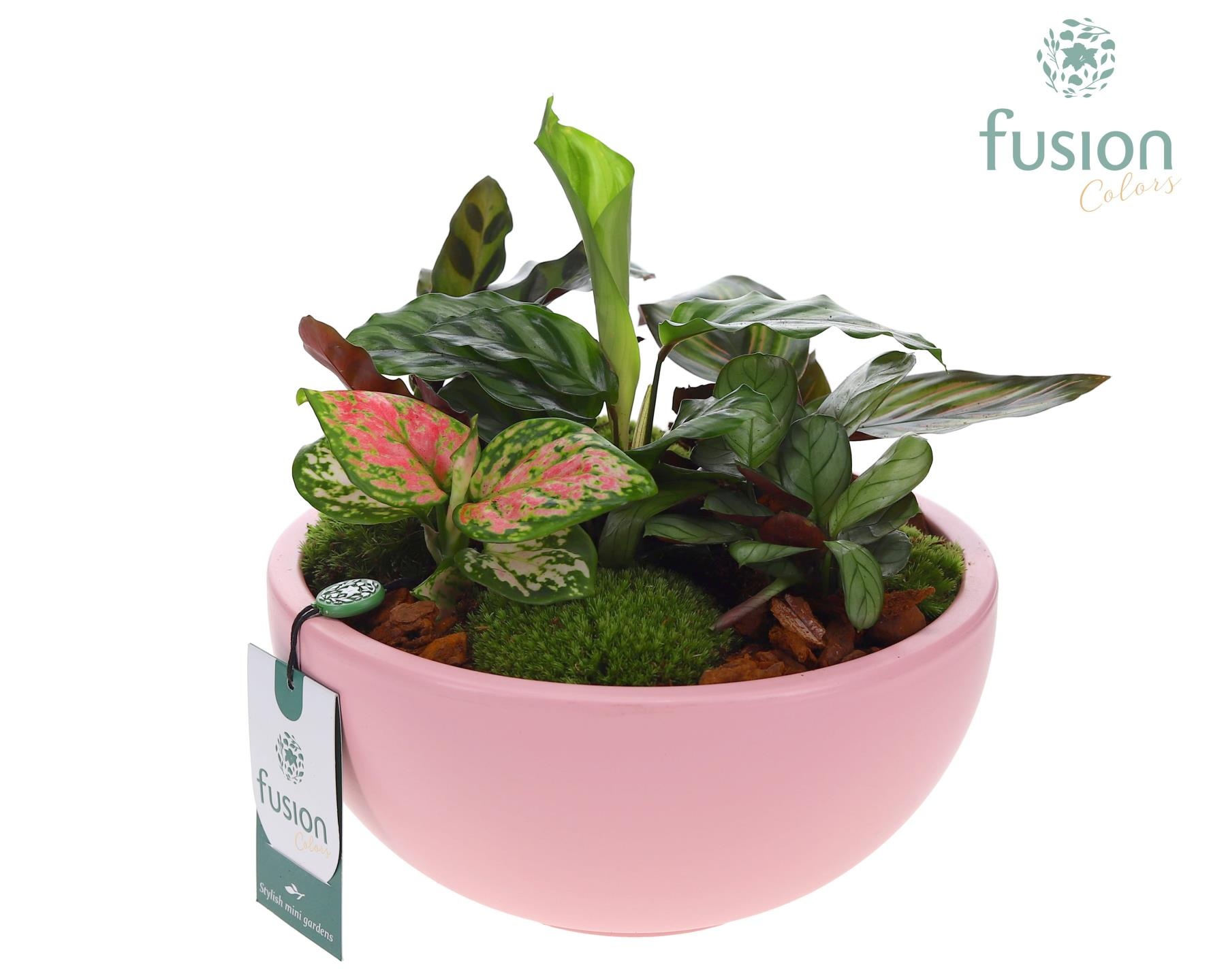 Schaal keramiek Moon Large roze mat met groene planten, D 22