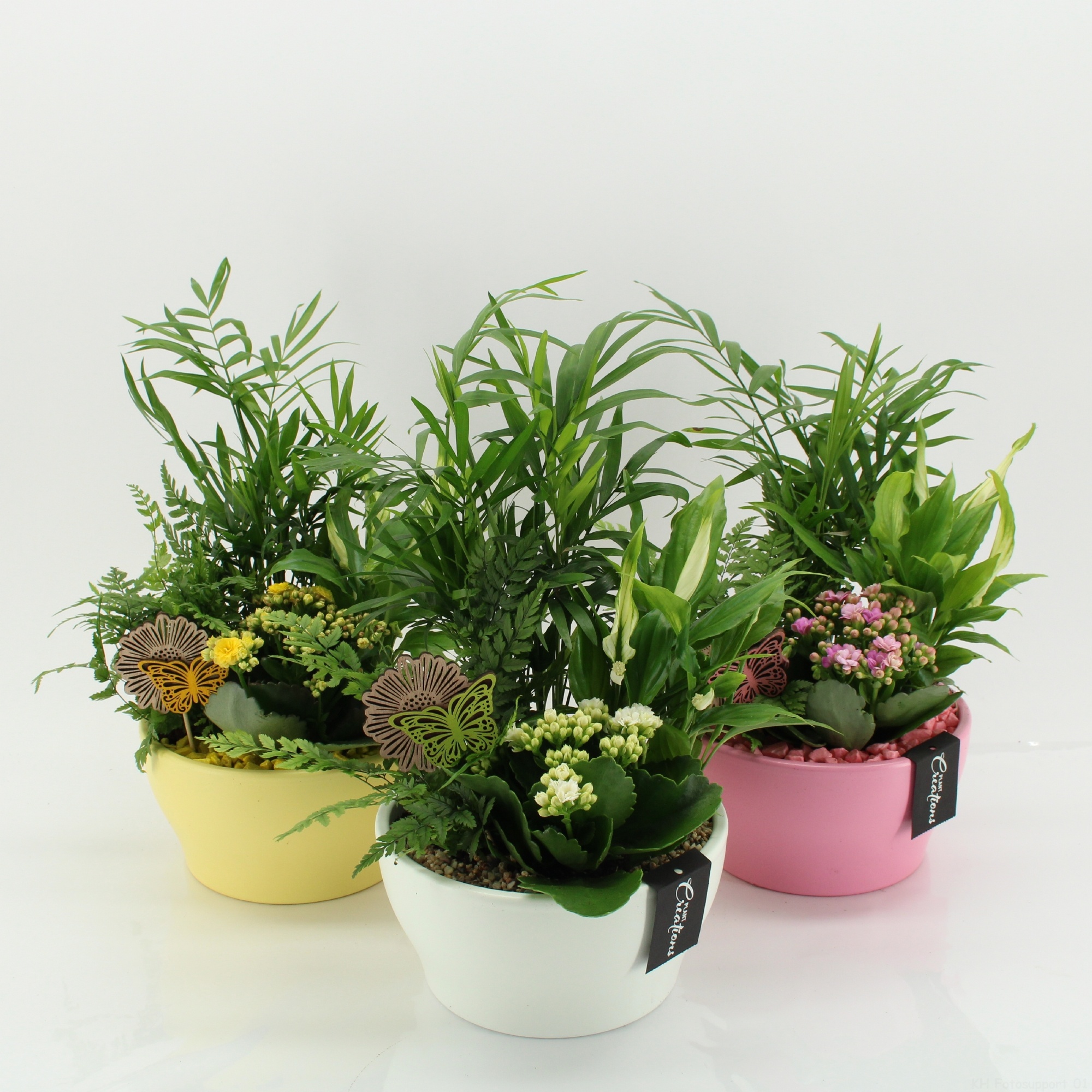 SECR-2622M Summer Essentials Colors, D 19