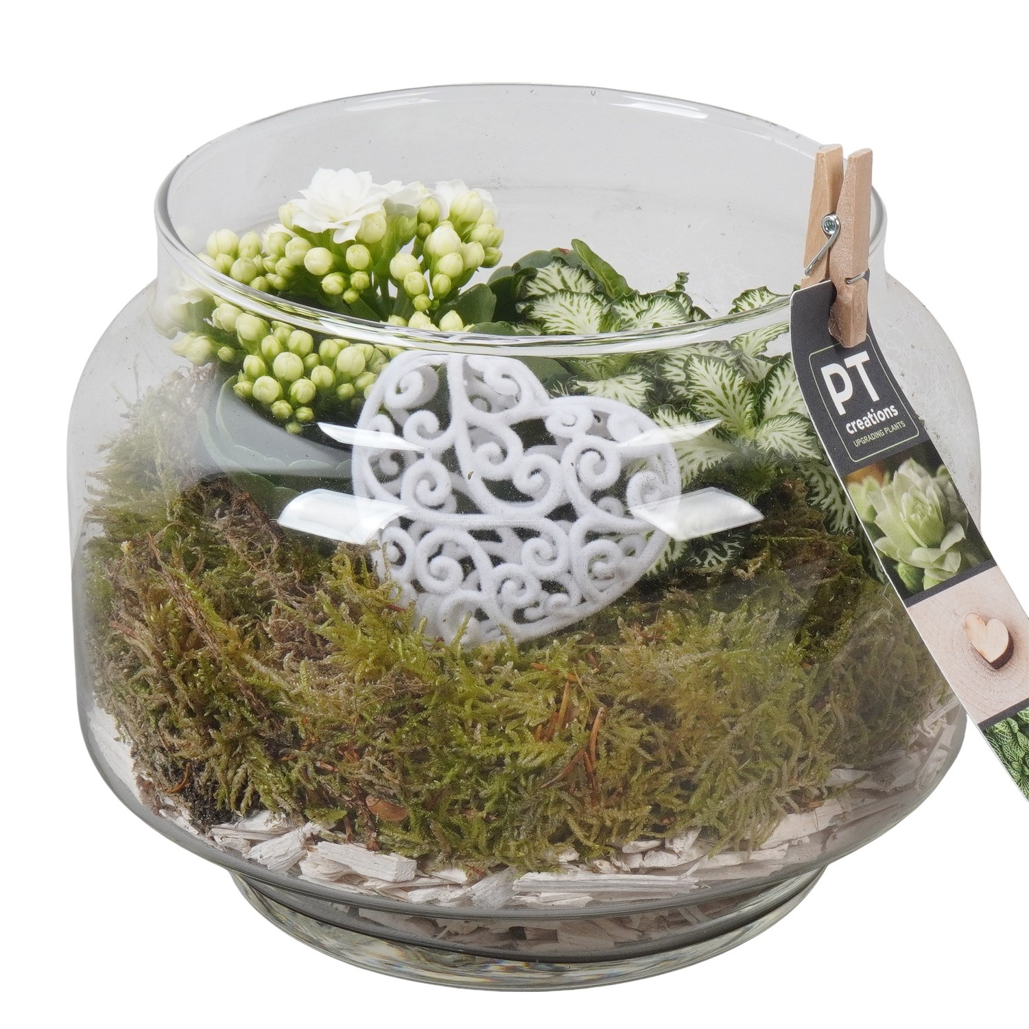 PTVMG4946 Arrangement Valentines-Mothersday in glas vaas, D 18