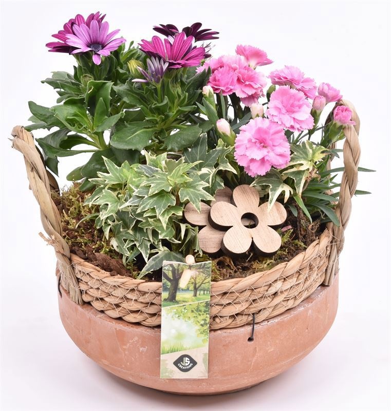 Cement schaal met wilg rand 18cm, D 18