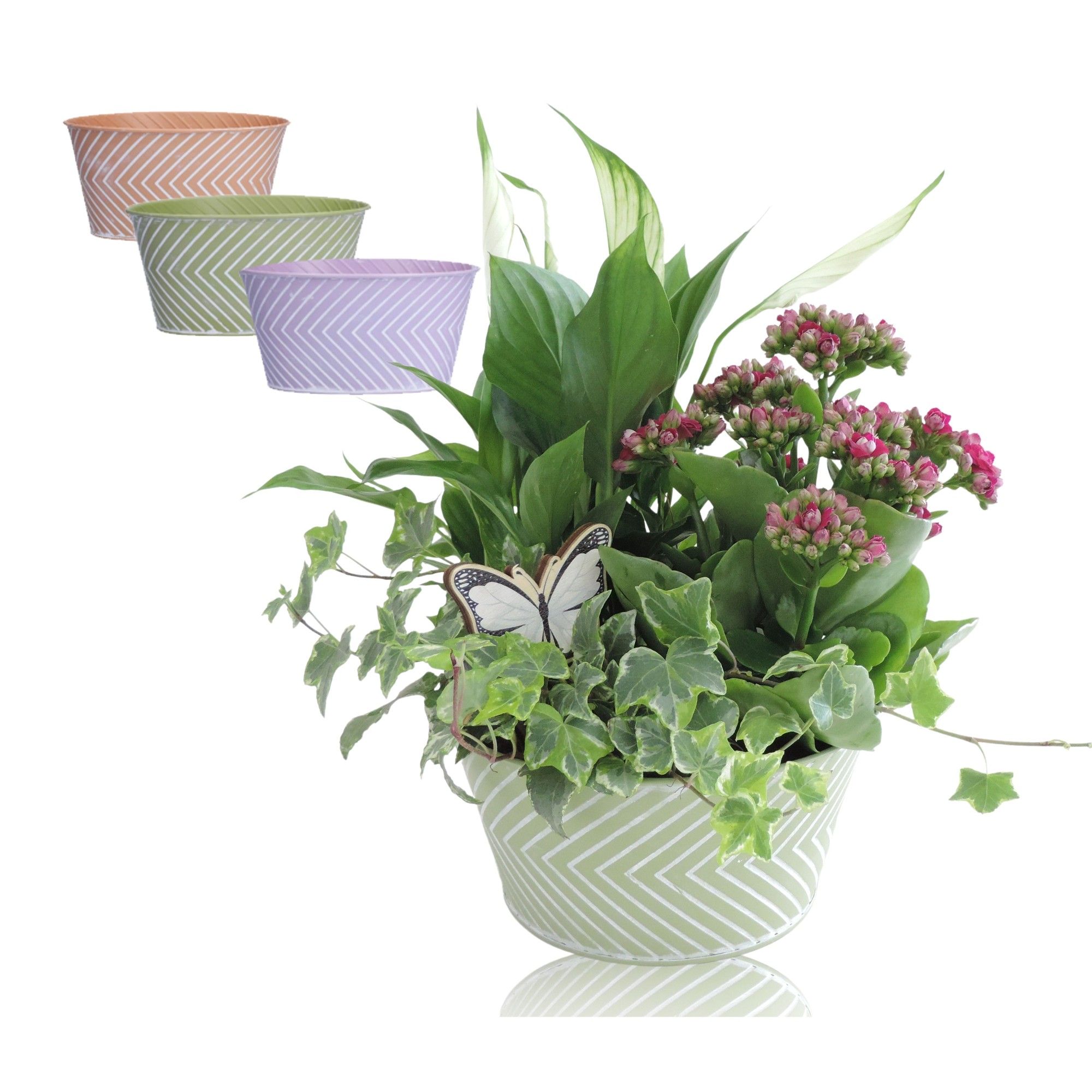 Collectie Wave arrangement in zinken pot 18 cm, D 18