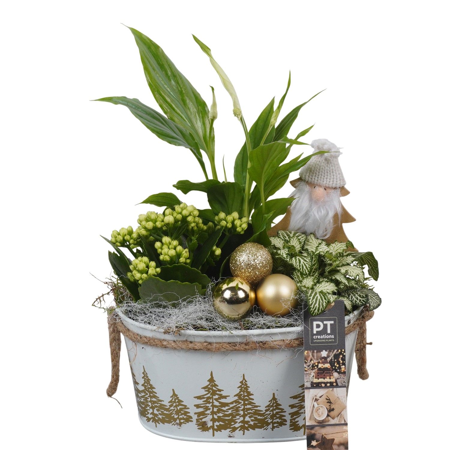PTCHG5656 Arrangement Christmas Gold in metaal pot, D 18 cm