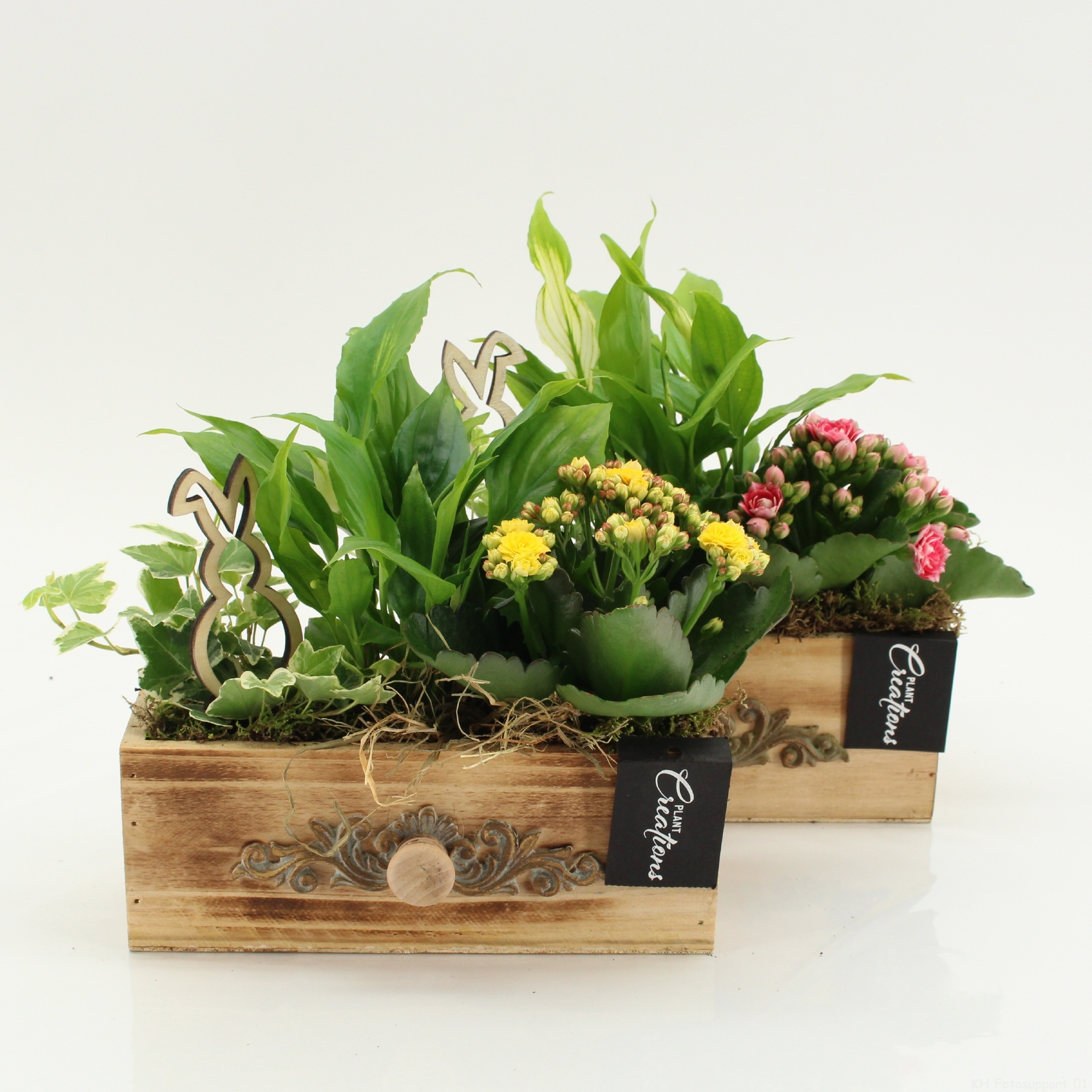 PSCR-2623 Easter Essentials, D 21