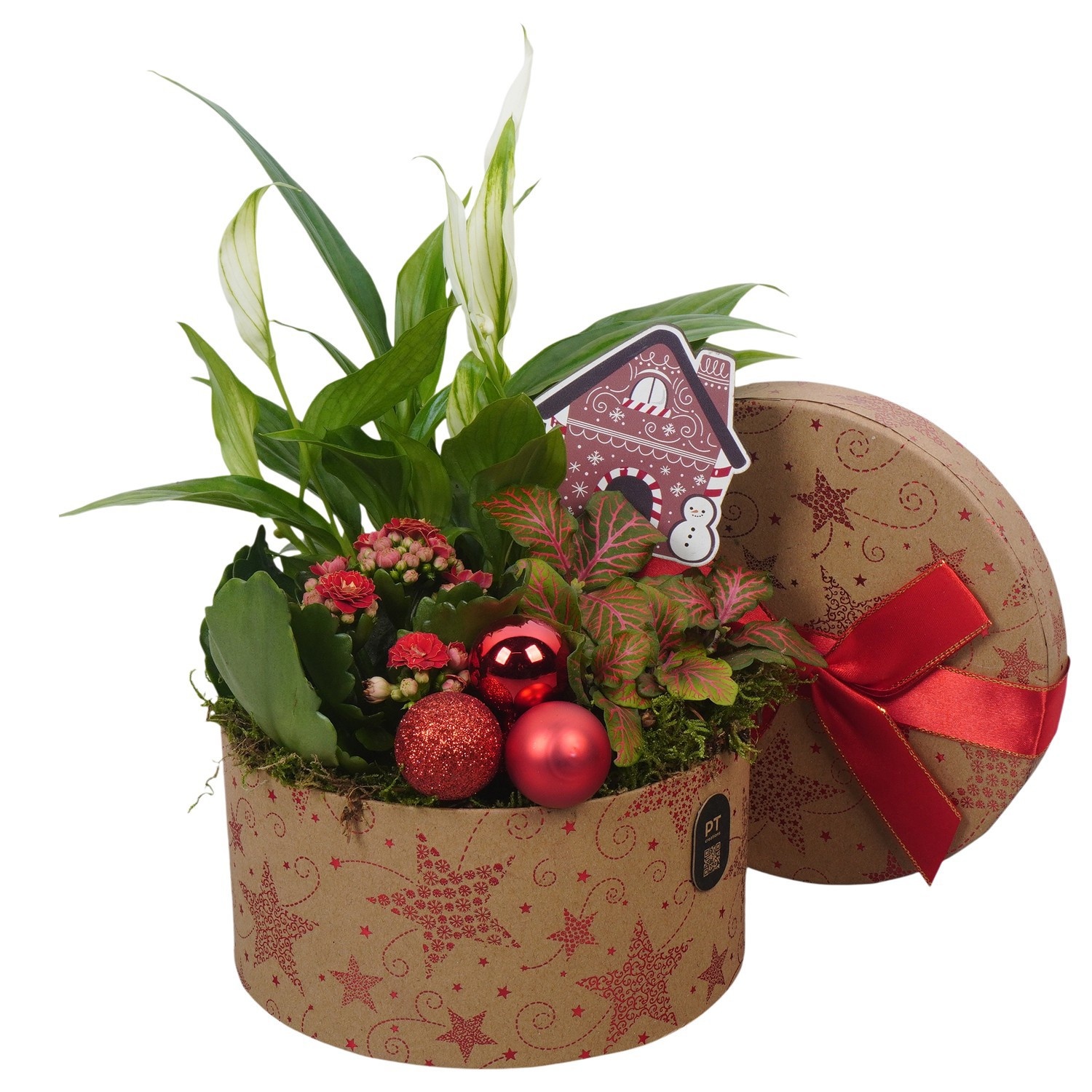 PTCHR9646 Arrangement Christmas Red in karton doosje, D 17