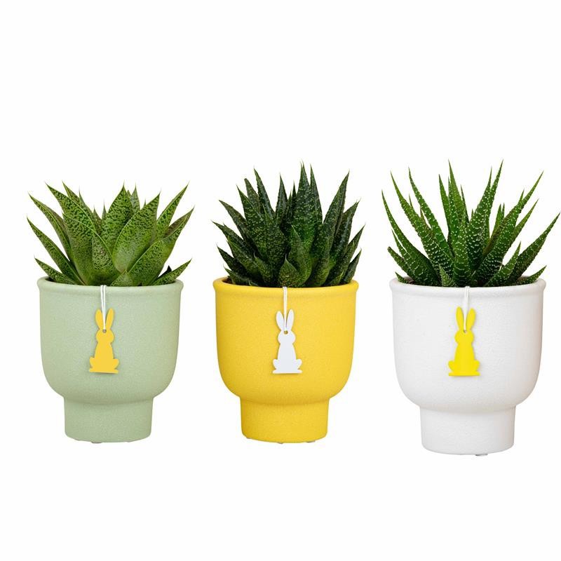 529648 Hopper EASTER CERAMIC, D 9