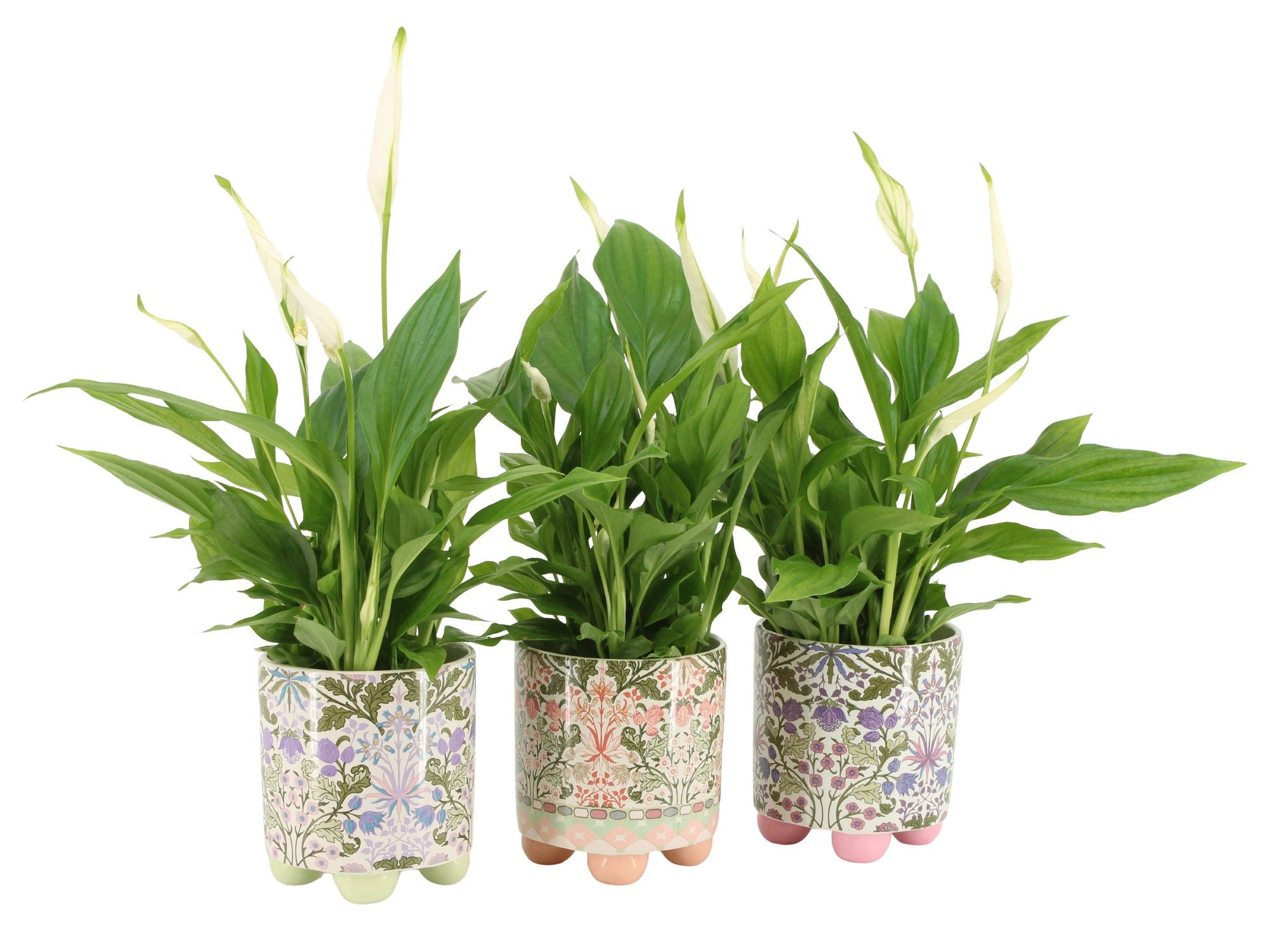 7502505: Solutionss Contradiction, D 9