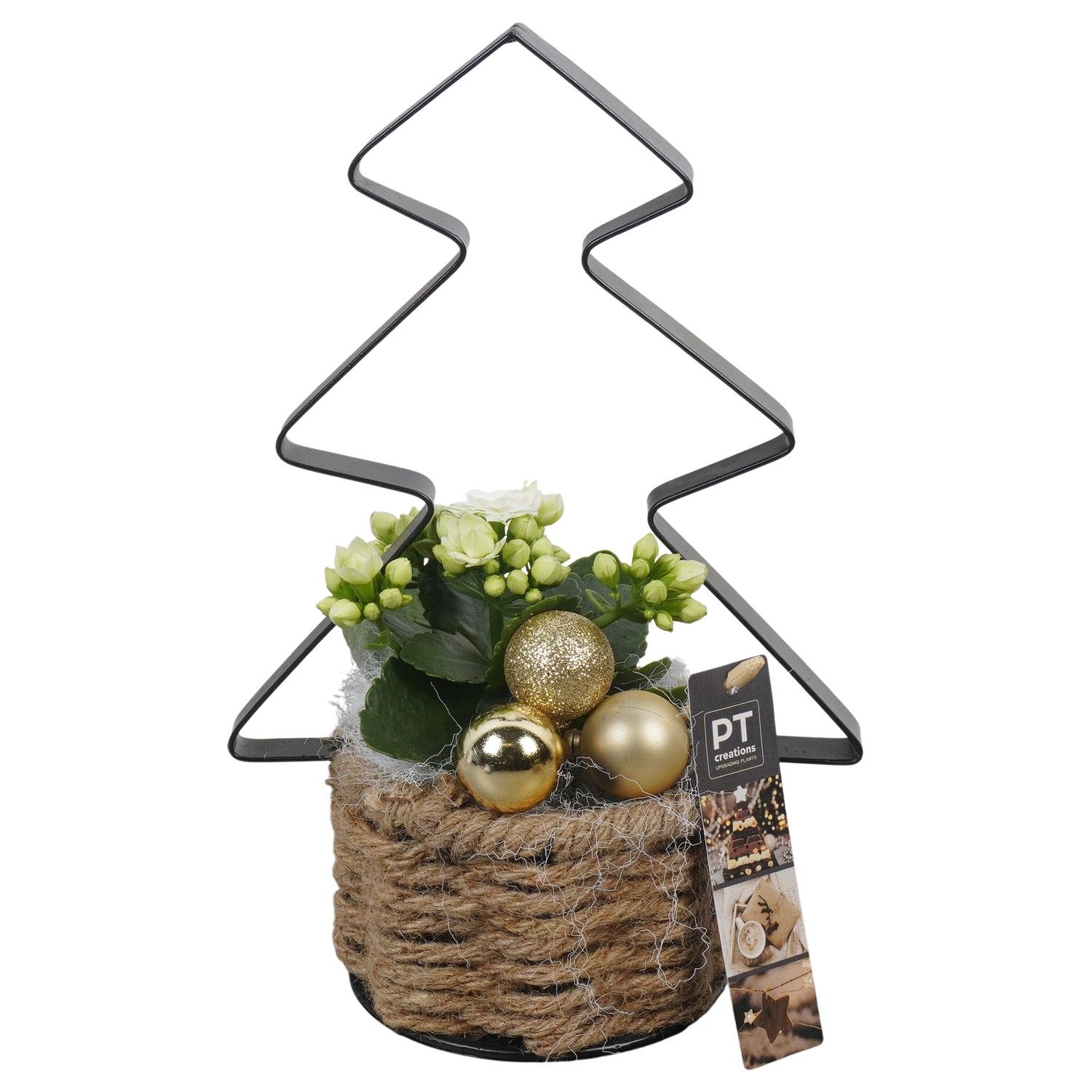 PTCHG5677 Arrangement Christmas Gold in touwmand met metaal, D 11 cm