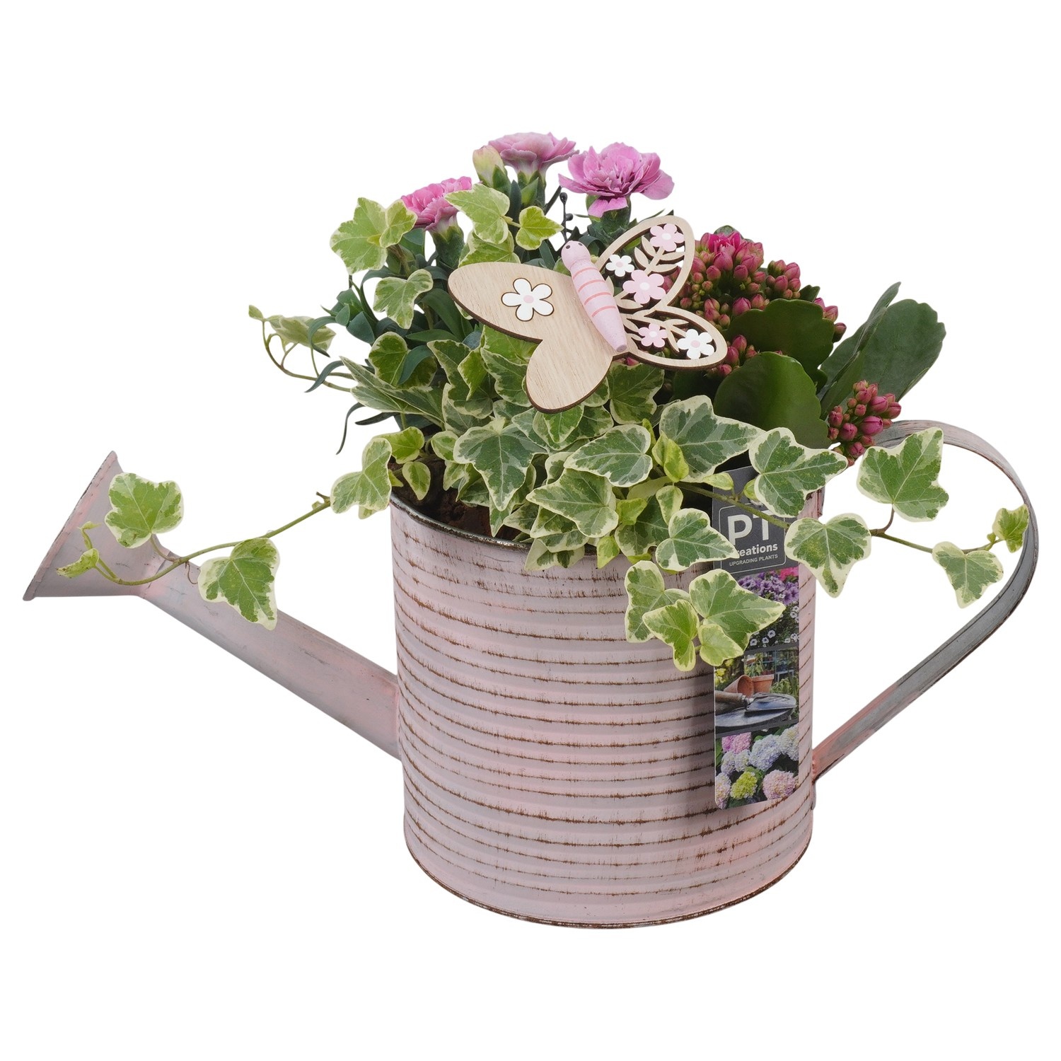 PTPP6806 Arrangement Patio in metalen gieter, D 16