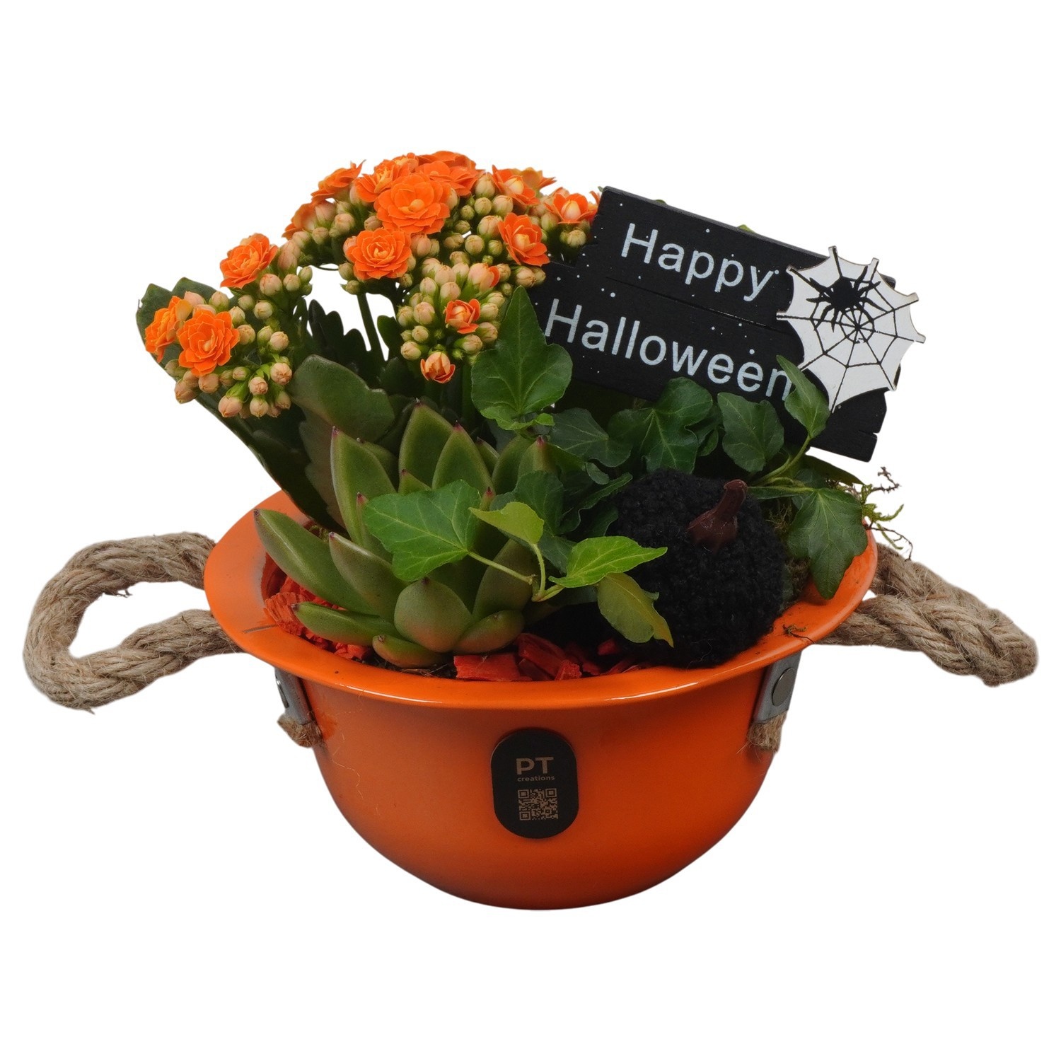 PTHL3523 Arrangement Halloween in metalen schaal, D 16