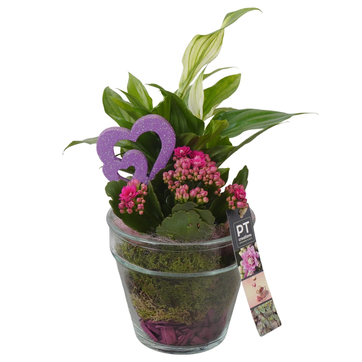 PTVMG4962 Arrangement Valentines-Mothersday in glas vaas, D 13