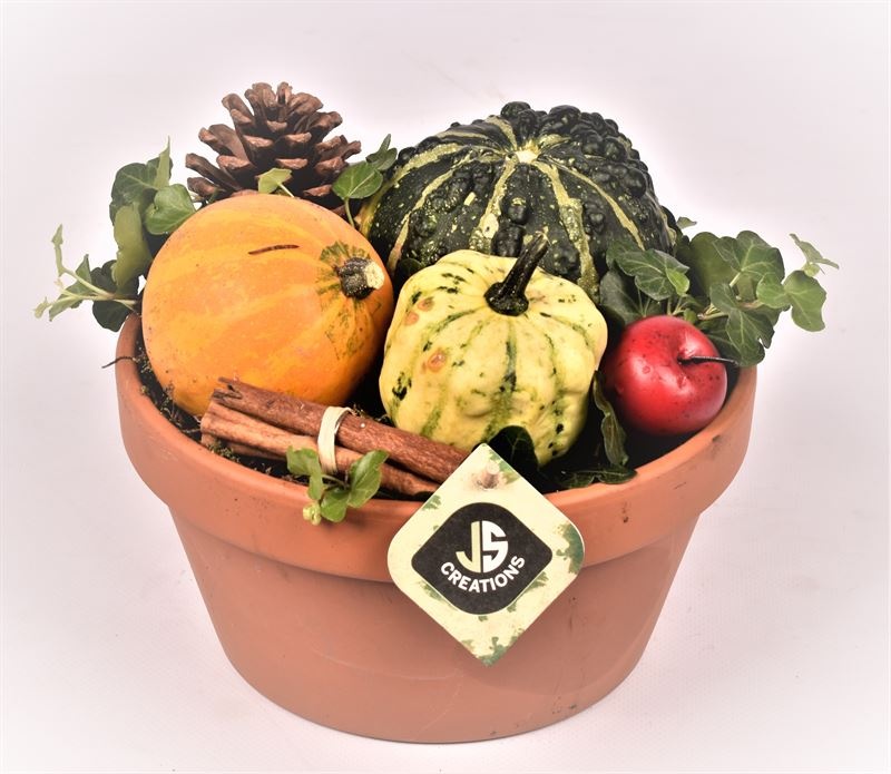 Terra schaal met rand 20cm, D 20 cm