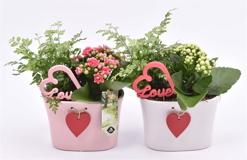 Keramiek ovaal met hart 15x9cm, D 15