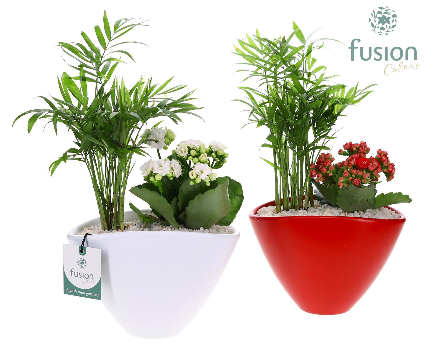 Pot keramiek Oval Small wit en rood met arrangement, D 19