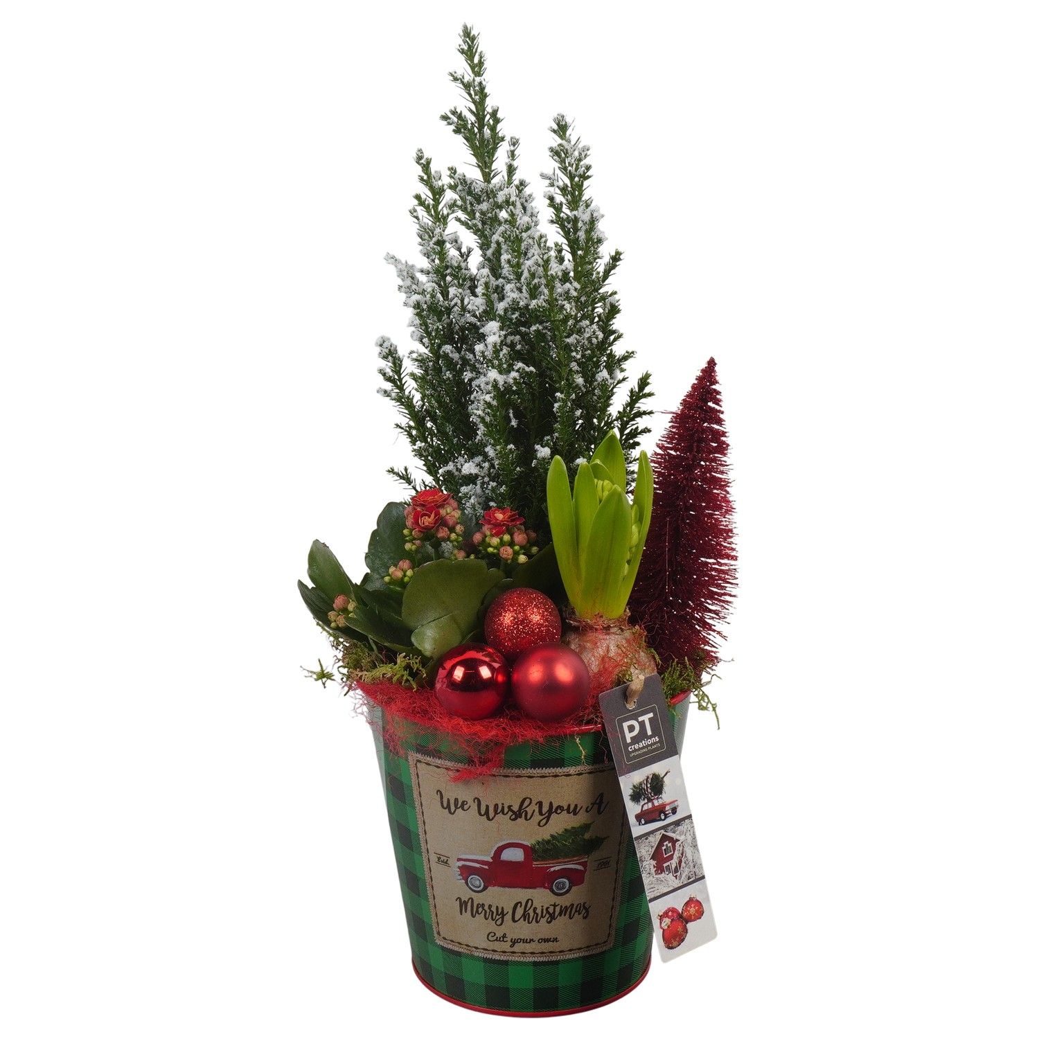 PTCHR7331 Arrangement Christmas Red in metaal pot, D 13 cm