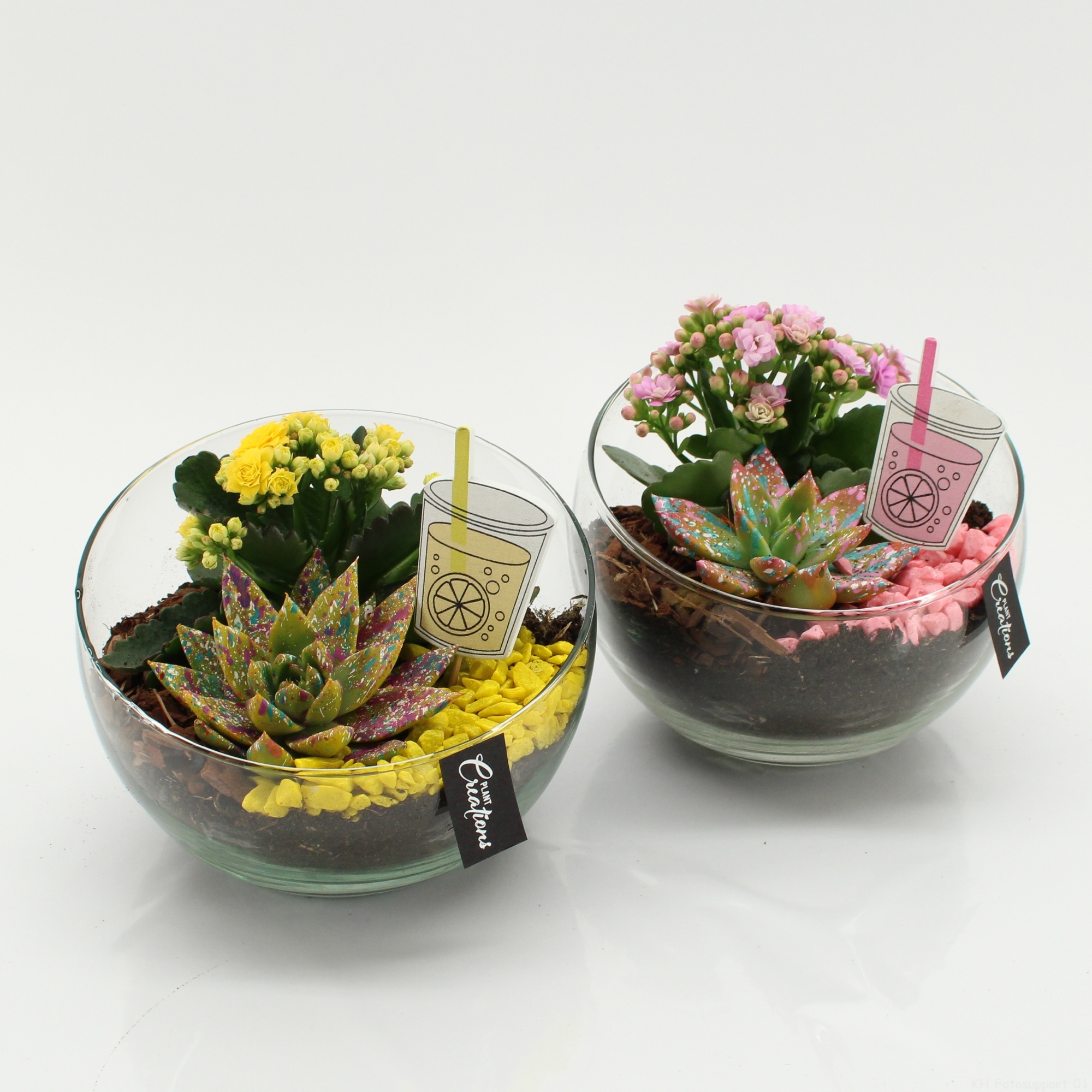 SECR-2625 Summer Essentials Colors, D 18