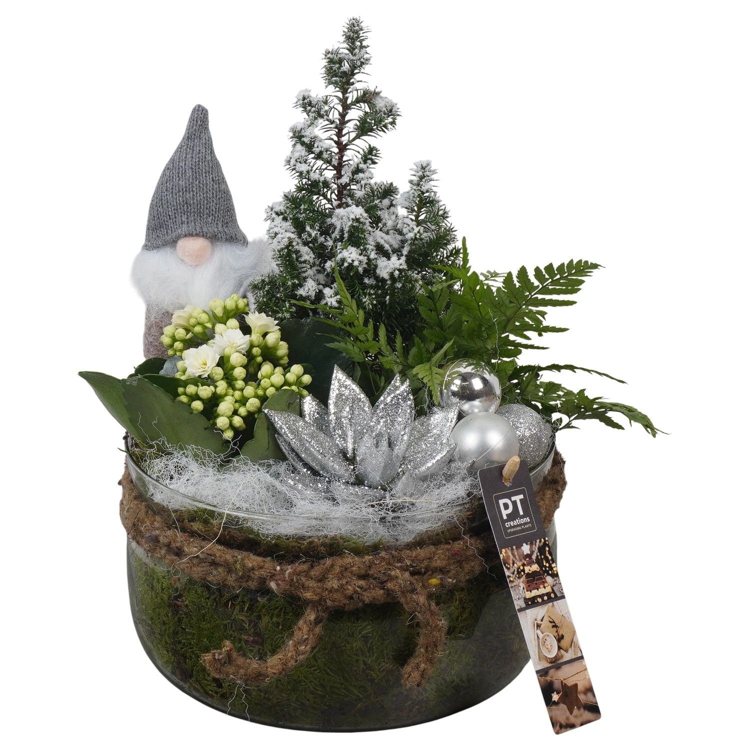 PTCHW4377 Arrangement Christmas White in glas schaal, D 19 cm