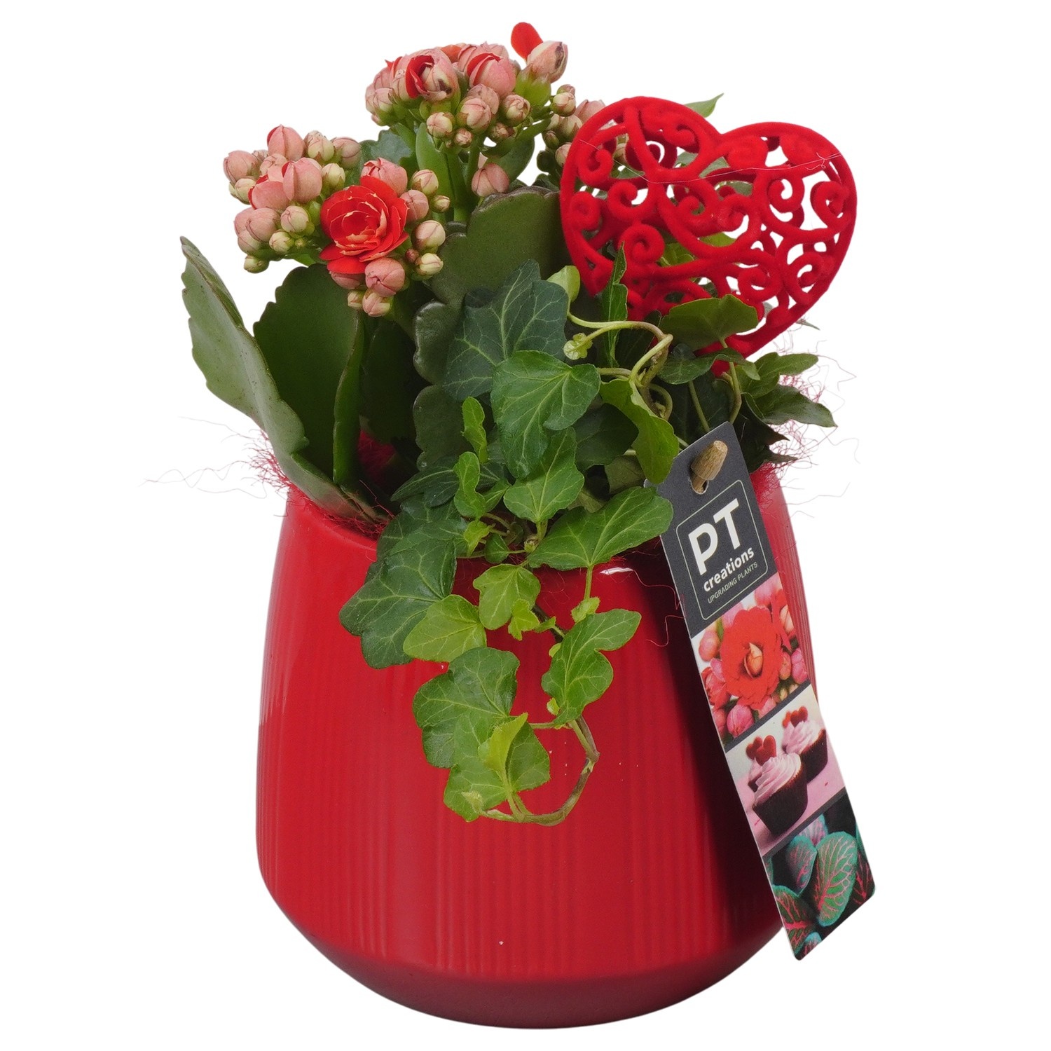 PTVMB2238 Arrangement Valentines-Mothersday in keramiek sierpot, D 12