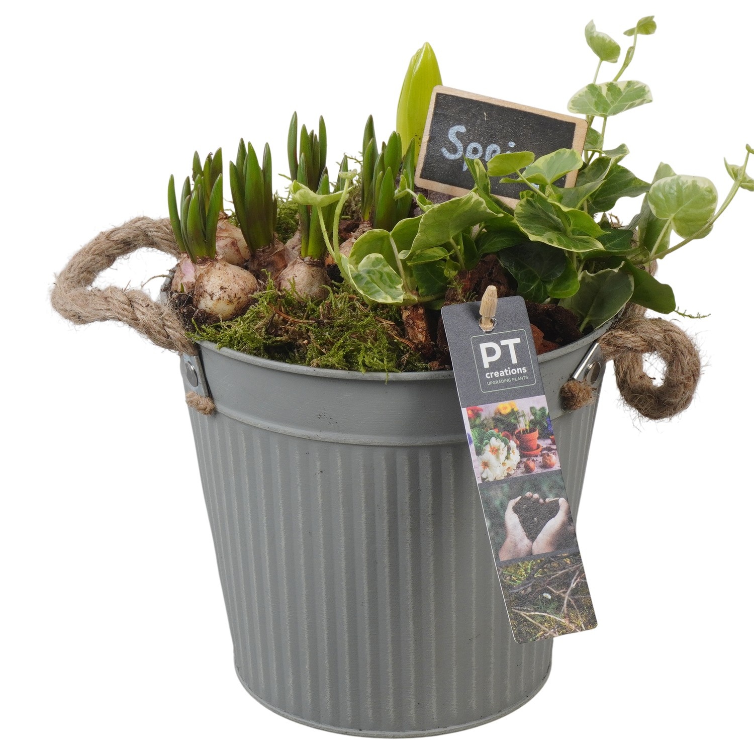 PTBM3781 Arrangement Flower Bulbs Mix in metalen pot, D 16