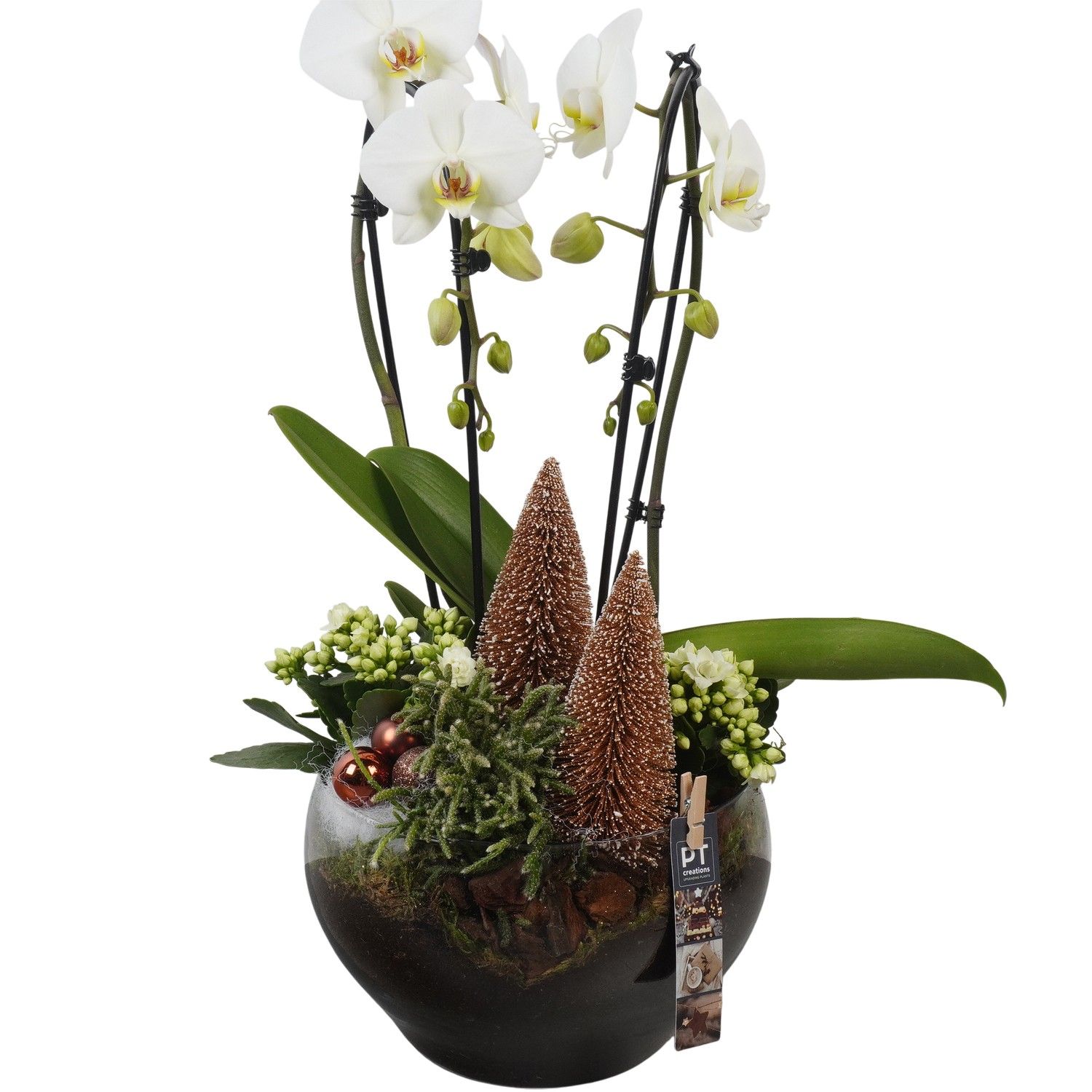 PTCHB9888 Arrangement Christmas Bronze in glas schaal, D 23 cm