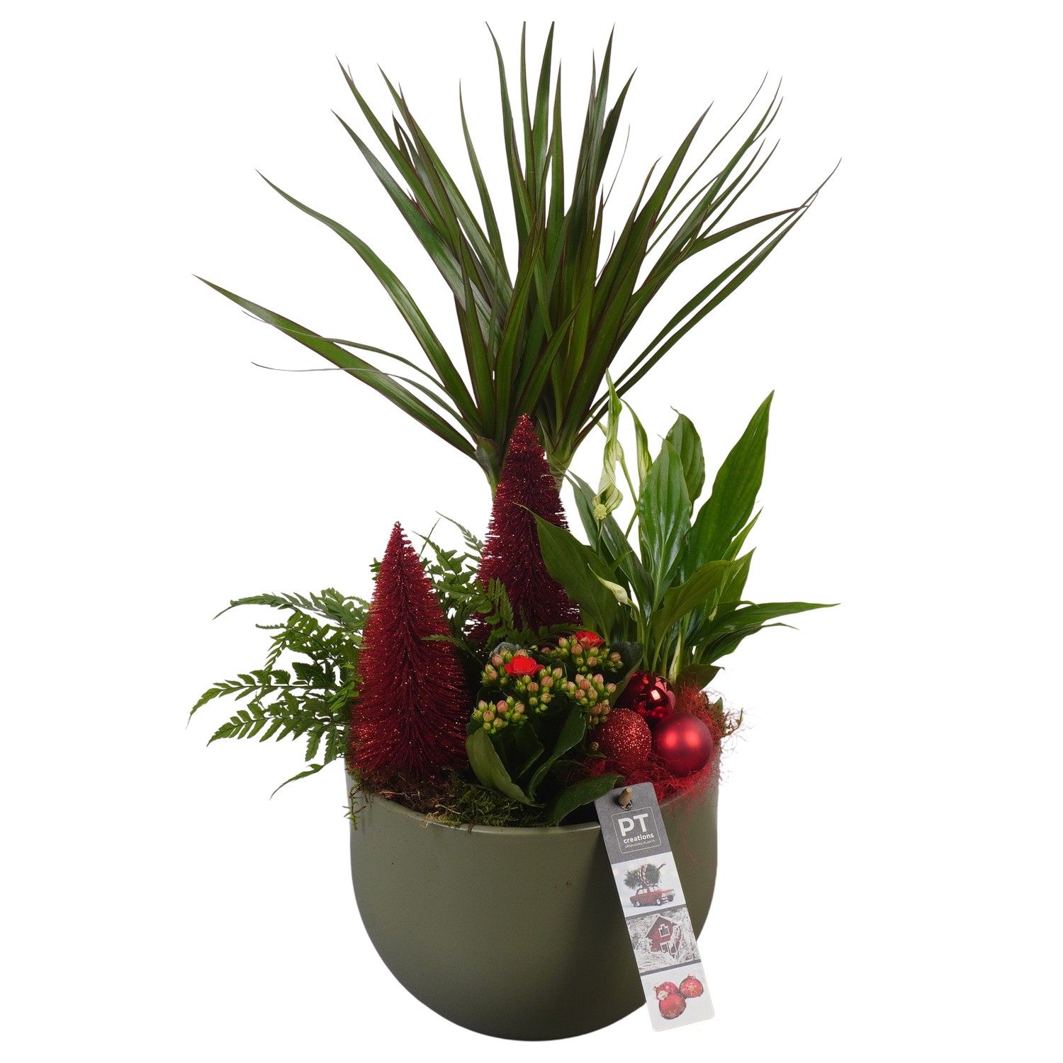 PTCHR7261 Arrangement Christmas Red in keramiek pot, D 19 cm