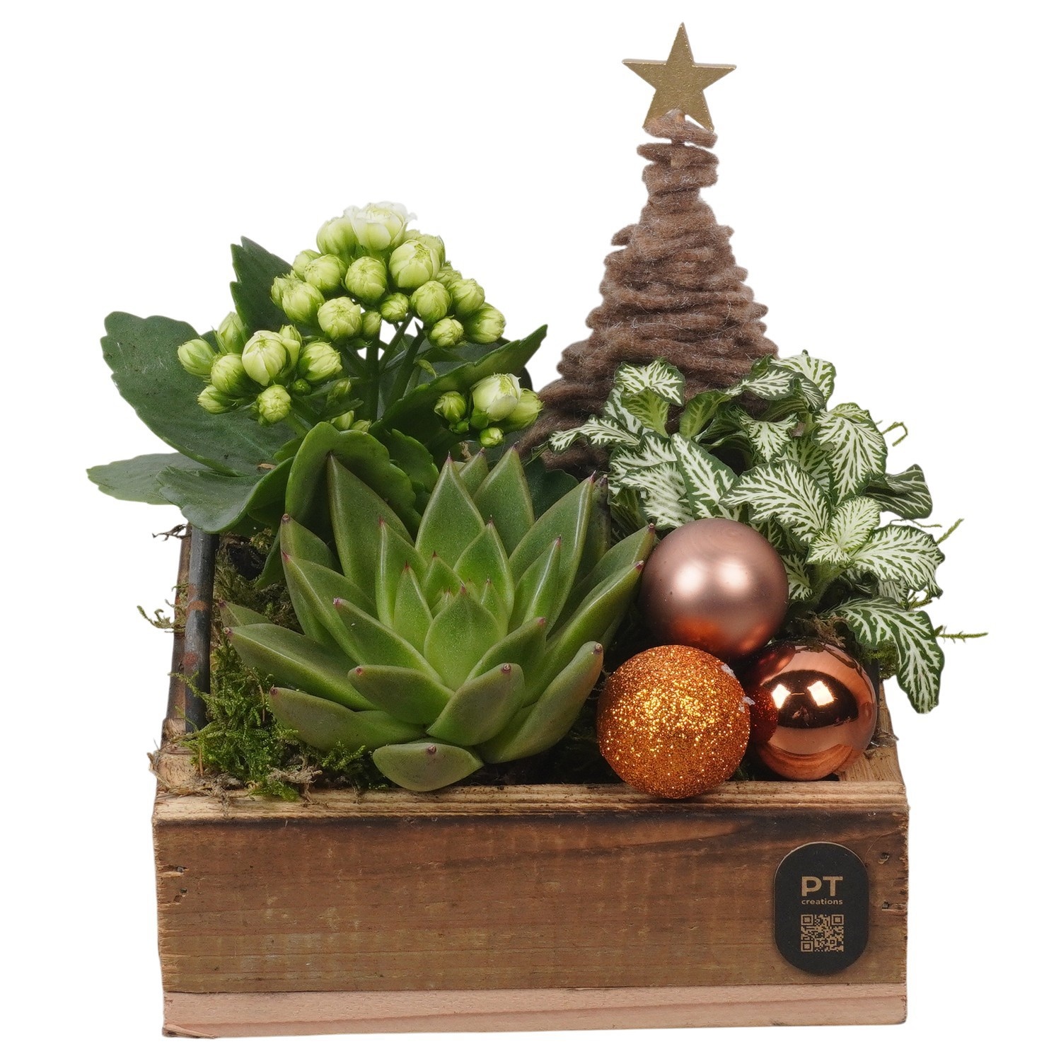 PTCHB5852 Arrangement Christmas Bronze in houten plateau, D 15