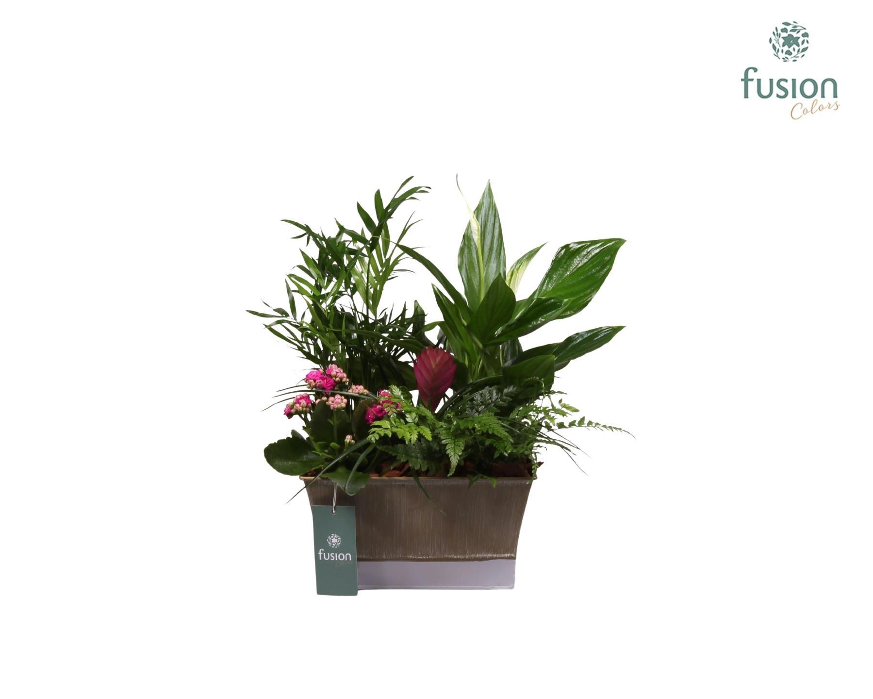 Zinken pot vierkant met arrangement, D 22