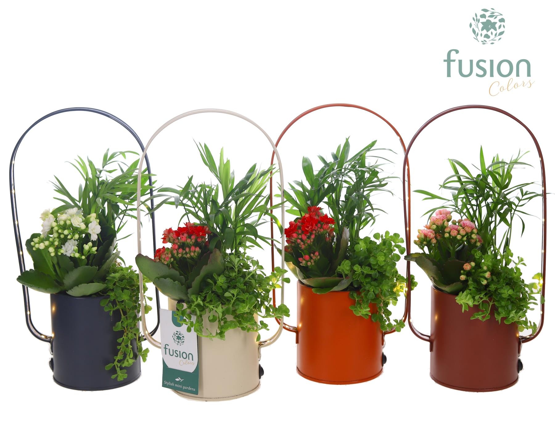 LED planter zink boog met arrangement, D 9