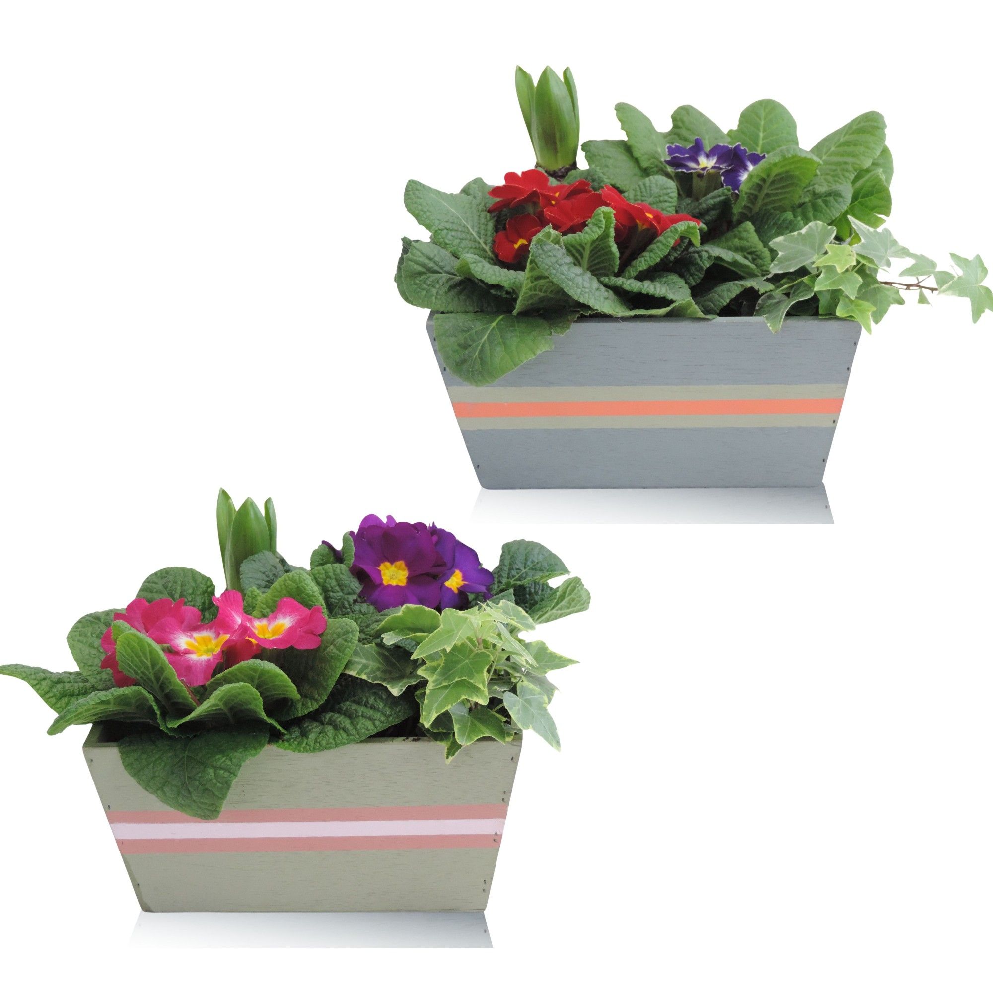 Jessy Early Spring Specials Arrangement Hyacint in Houten bak 21 cm, D 21