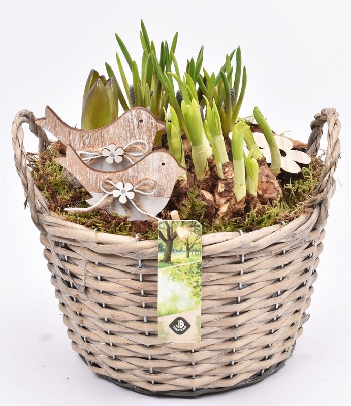 Wilg mand grijs met oor 23cm, D 23