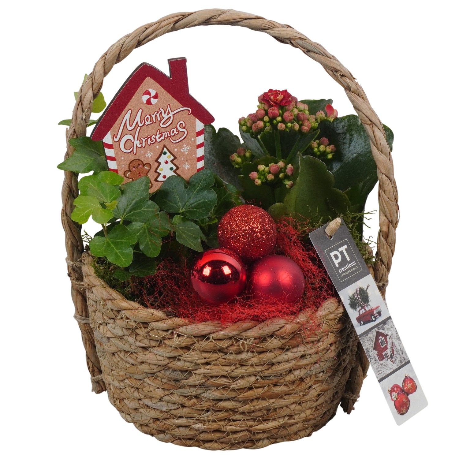 PTCHR7369 Arrangement Christmas Red in rieten mand, D 15 cm
