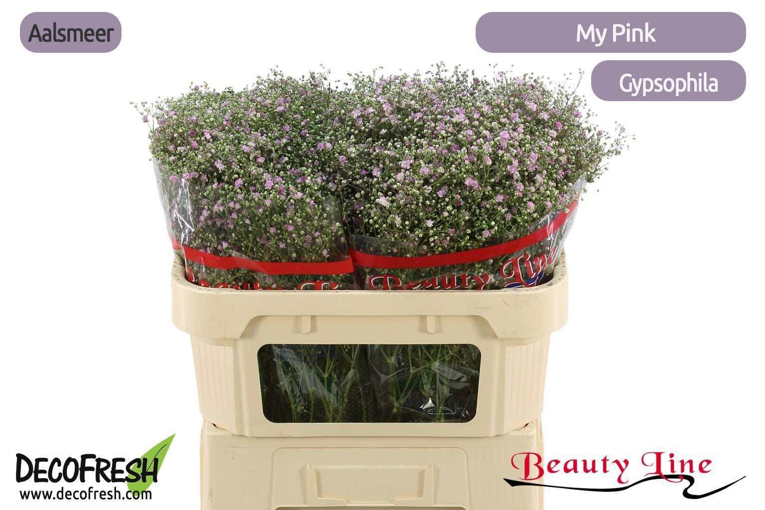 Гипсофила Май Пинк 70, шт.