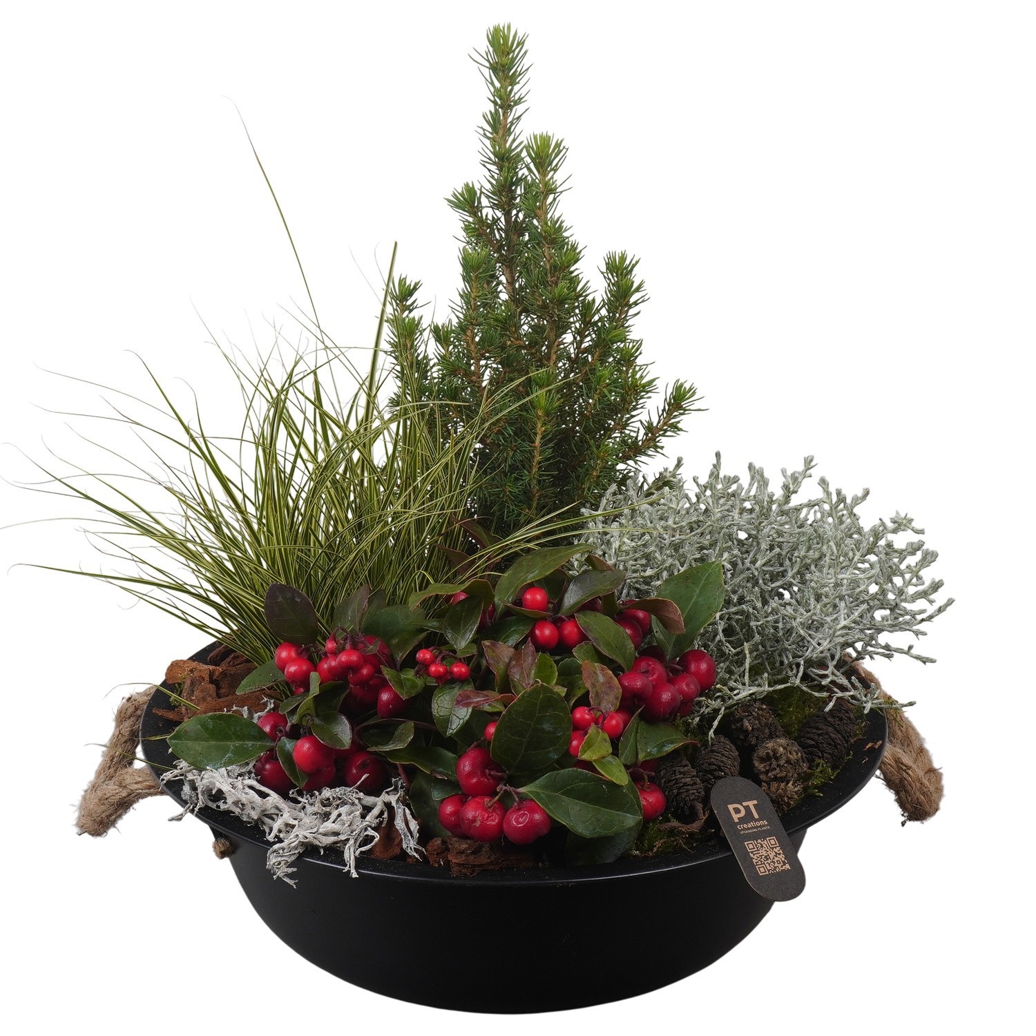 PTWO2893 Arrangement Winter Outdoor in metalen schaal, D 29