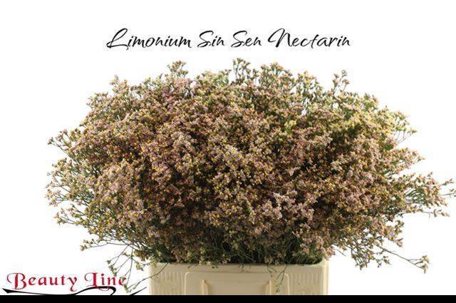 Лимониум Сенси Нектарин 70, шт.