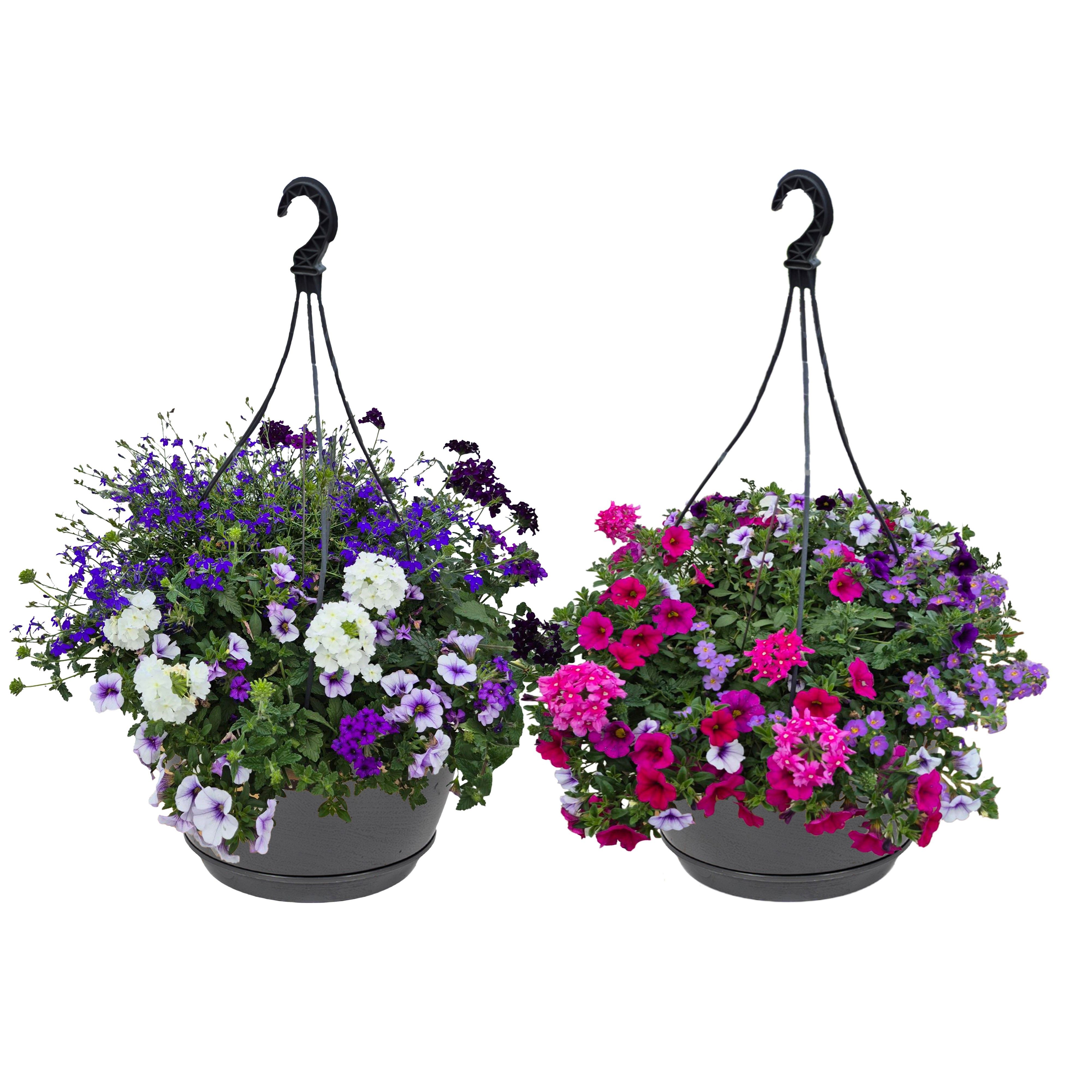 Hpot 4 plants MIXpot mixkar Zonder hoes, D 25