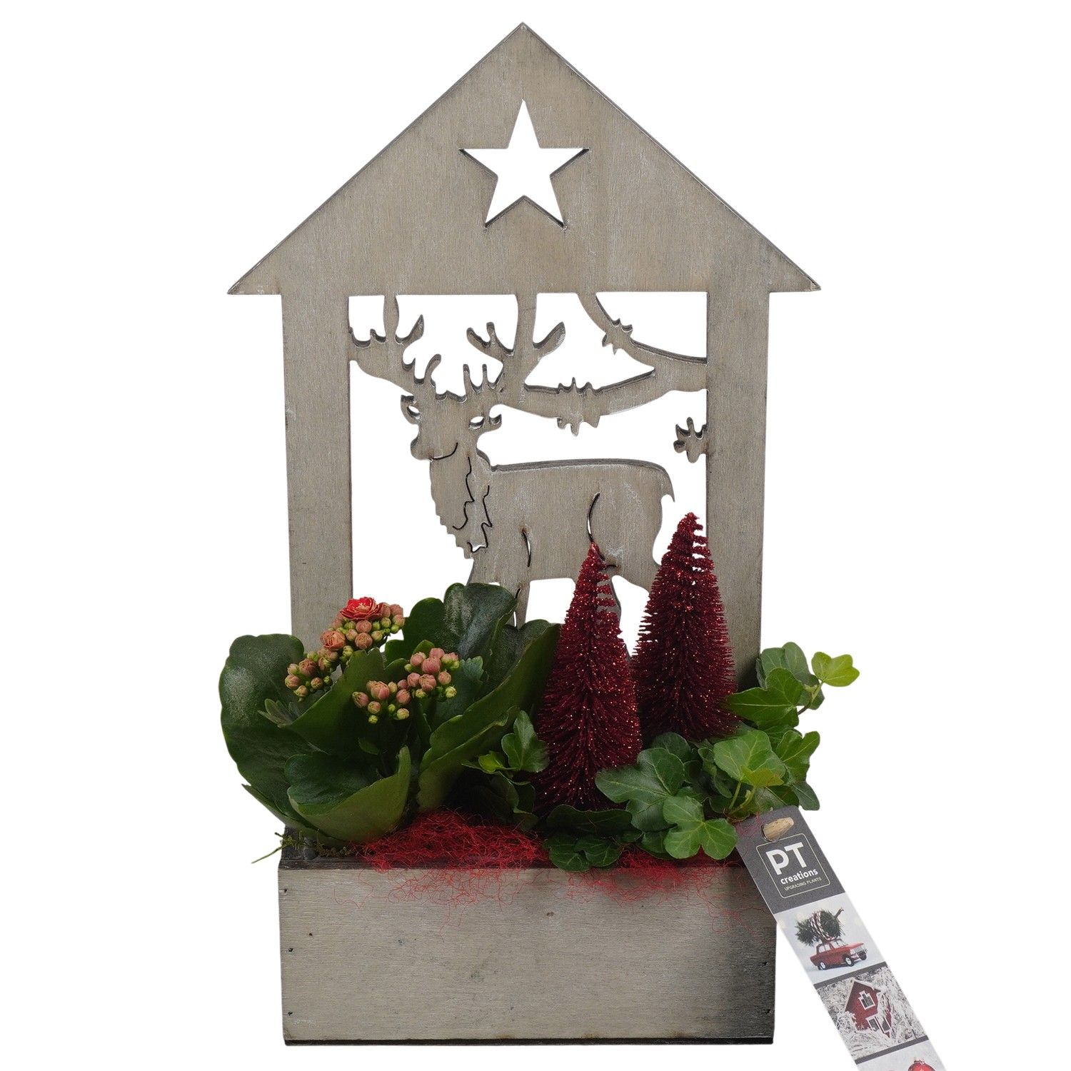 PTCHR7405 Arrangement Christmas Red in houten pot, D 16 cm