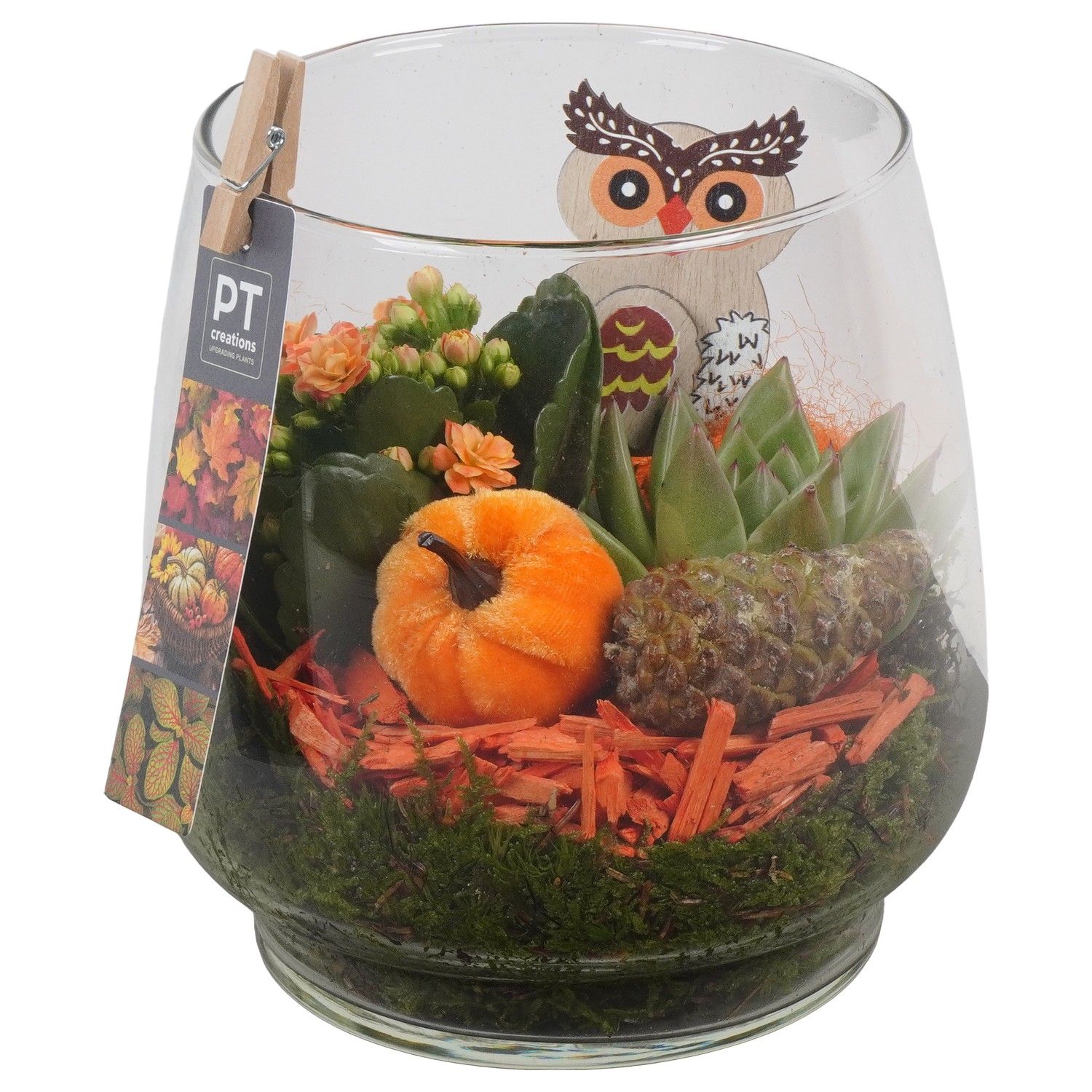 PTHG3384 Arrangement Autumn Glass in glas vaas, D 16 cm PTHG3384 Arrangement Autumn Glass in glas vaas, D 16 cm