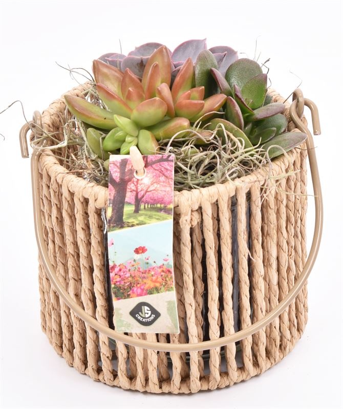 Touw lantaarn met glas 13cm h11.5cm, D 14