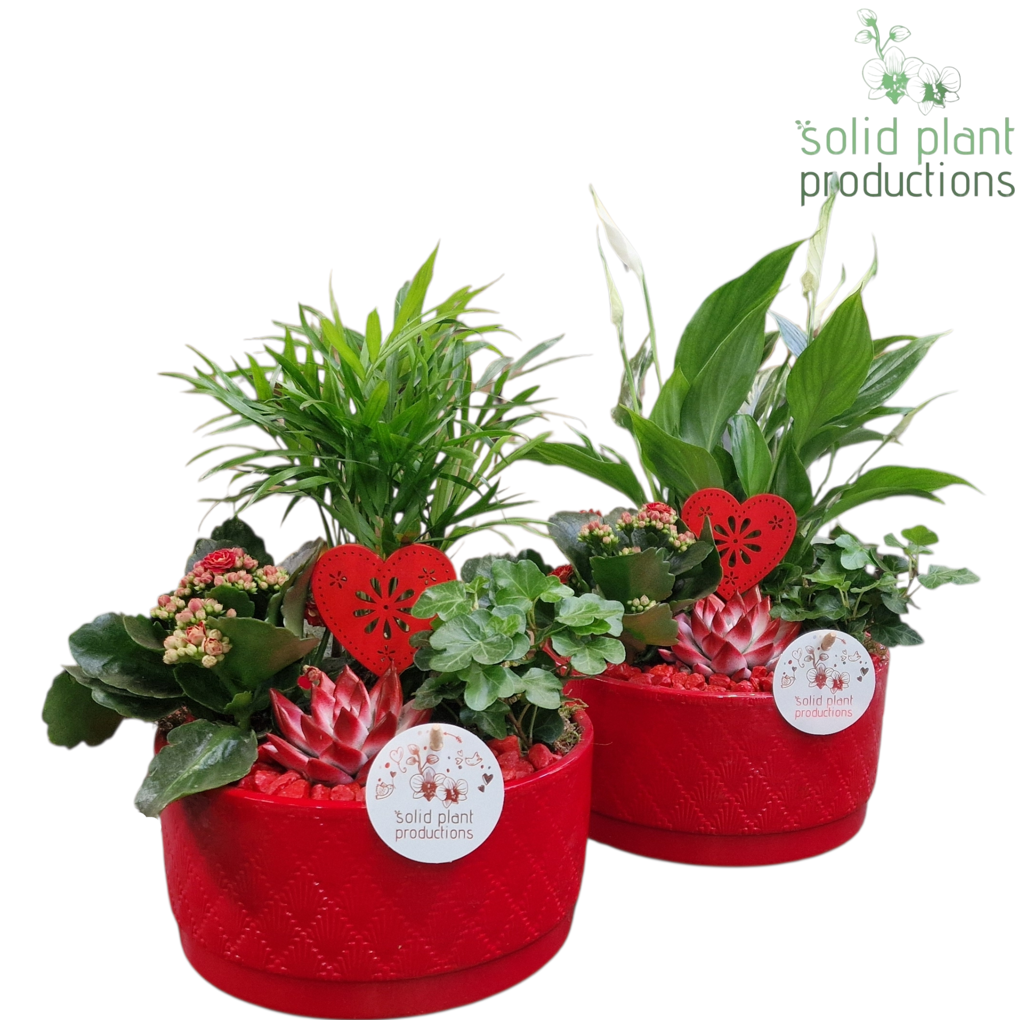 SCE003 Loes Red Mix VM, D 18