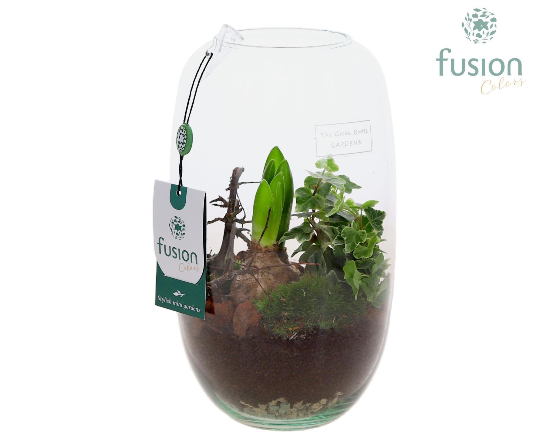 Green Bottle Isabella Medium met arrangement, D 15