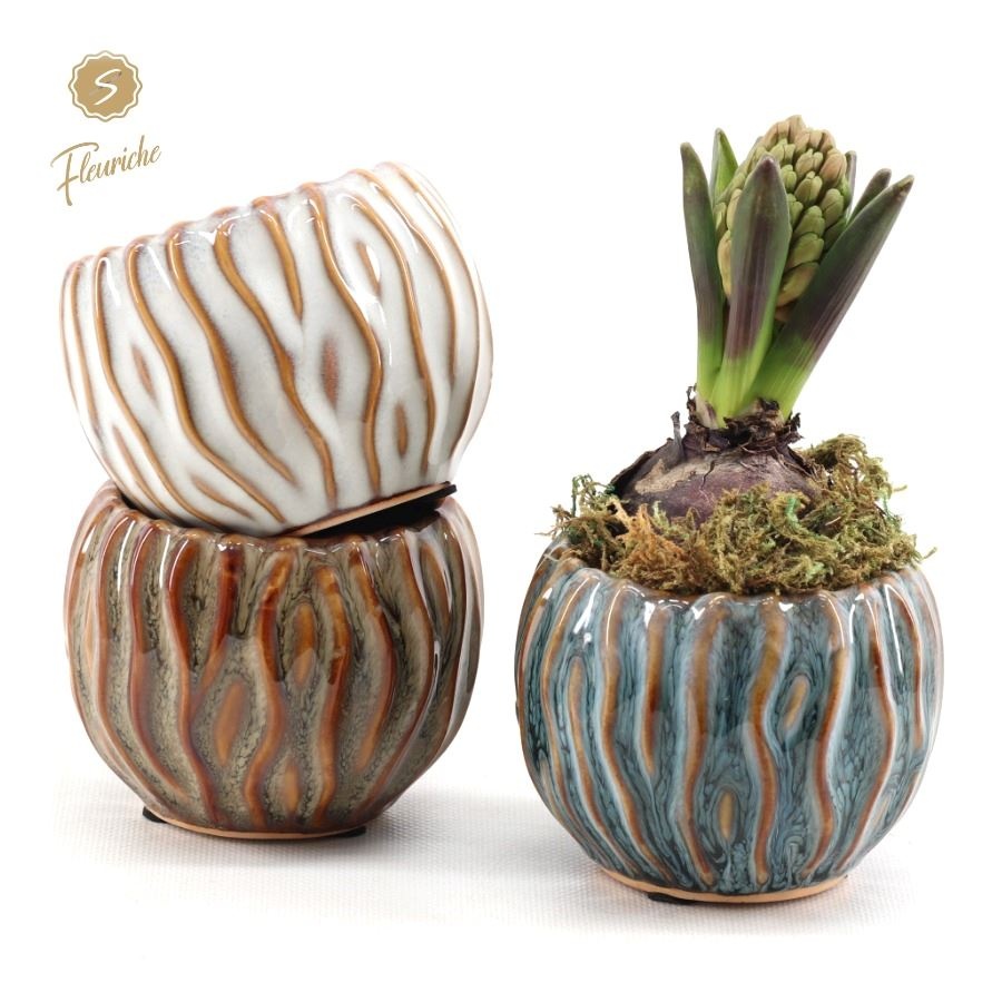 (1625) Hyacint Squiggle pot [M] 1PP Mos, D 9 cm