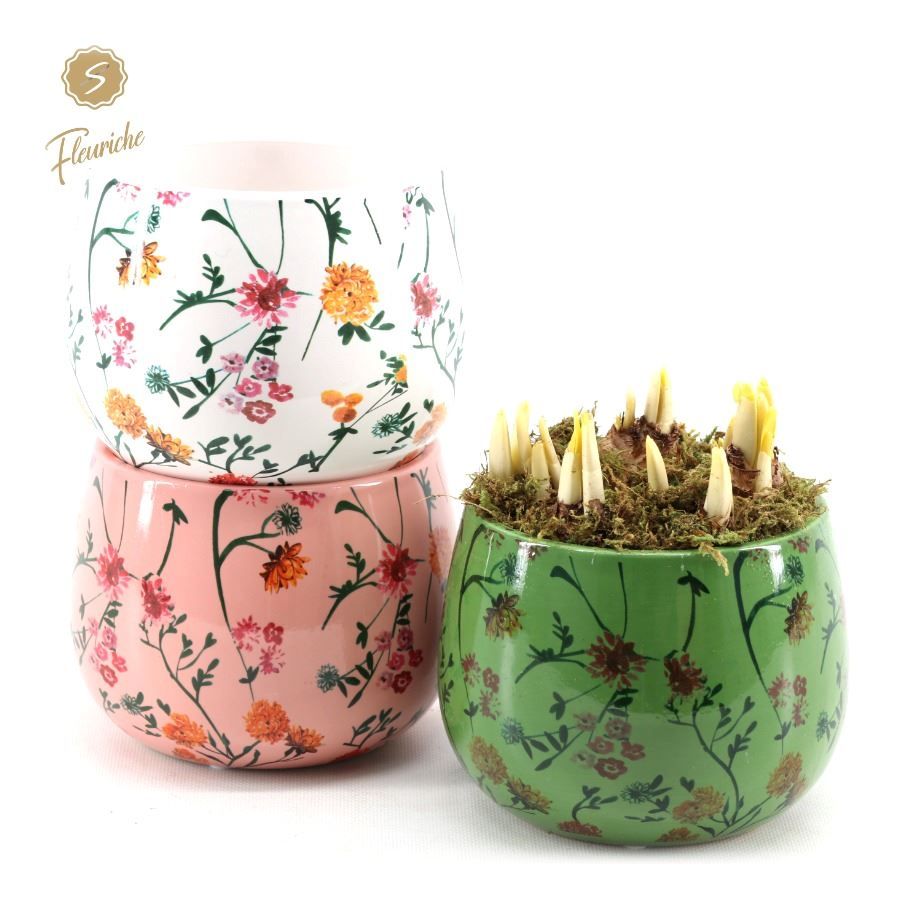 (3601) Narcissus Early Springtime [L] 3PP Mos, D 15 cm